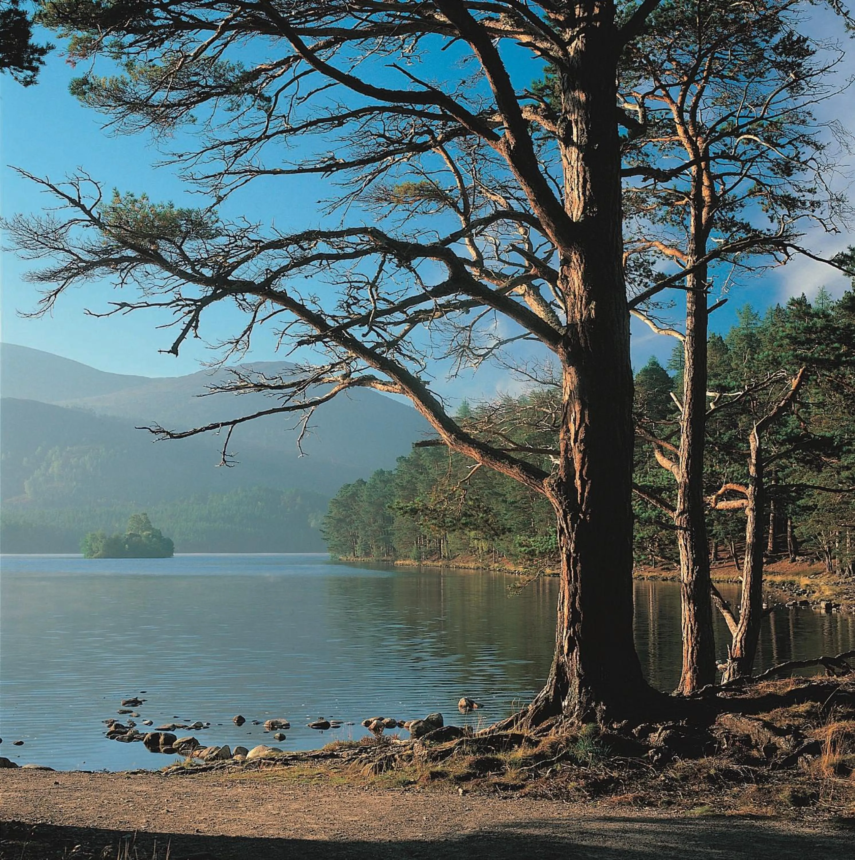 Natural landscape in Macdonald Leeming House
