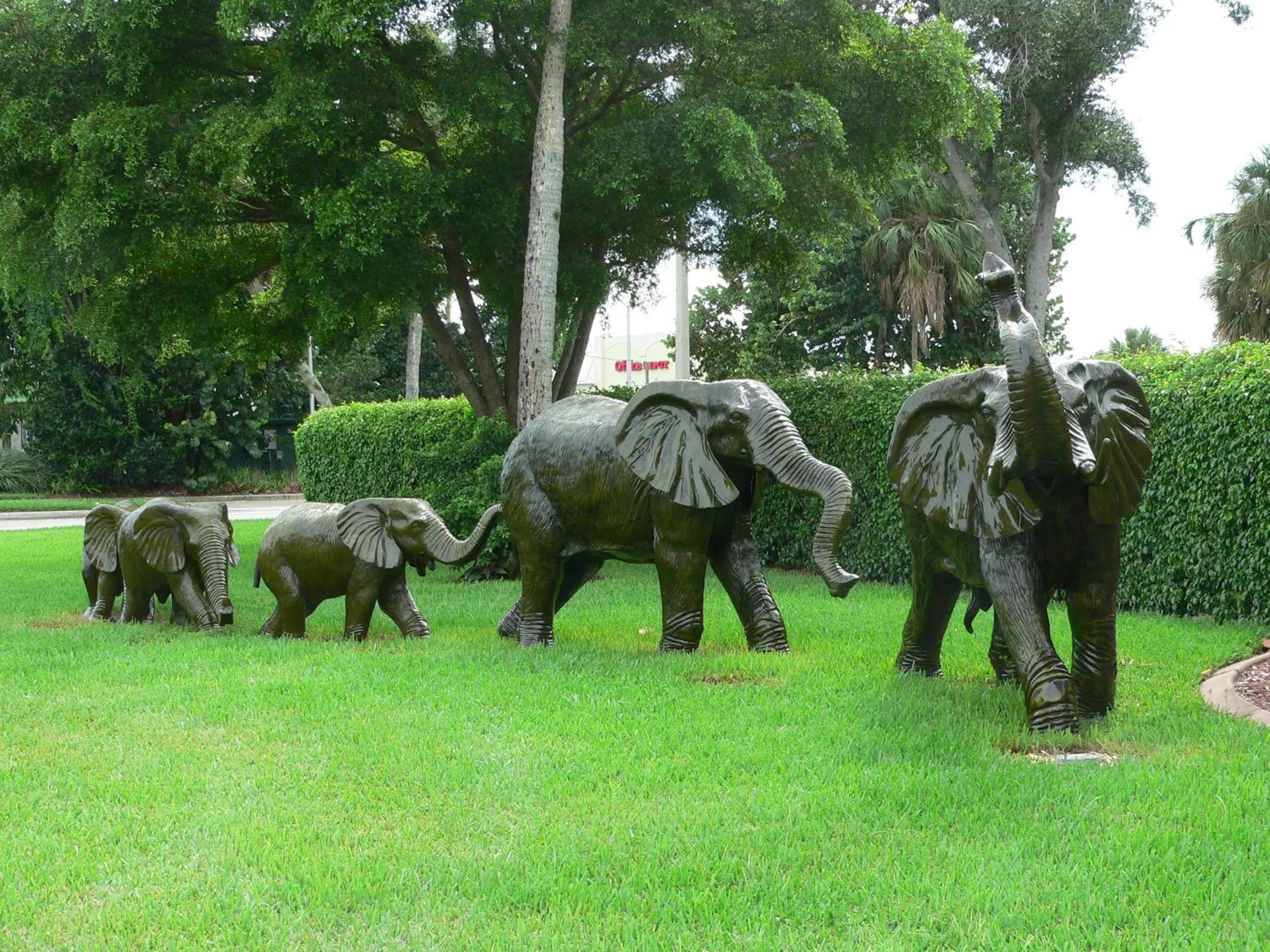 Day in Best Western Naples Inn & Suites