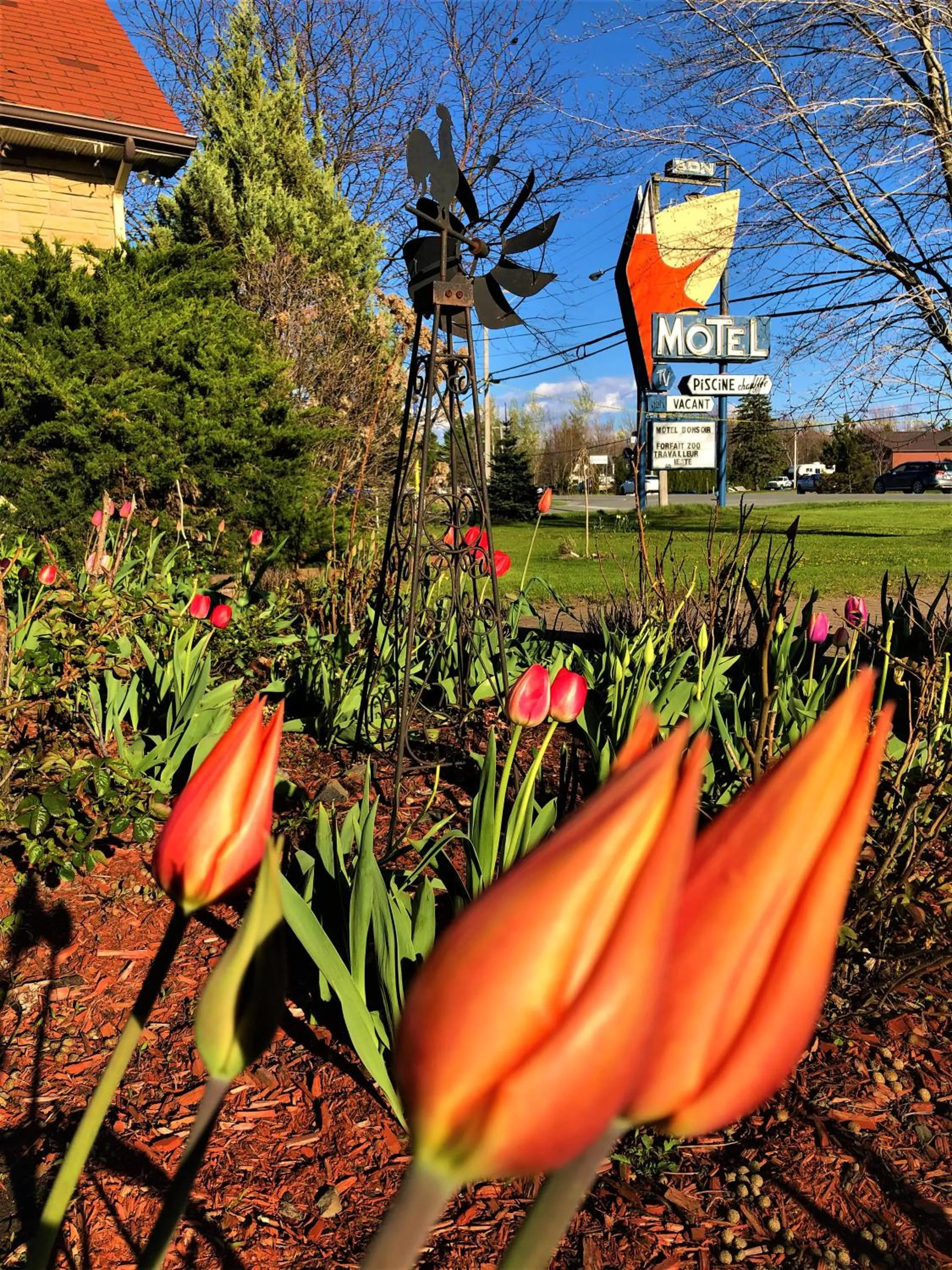 Garden in Hotel Motel Bonsoir