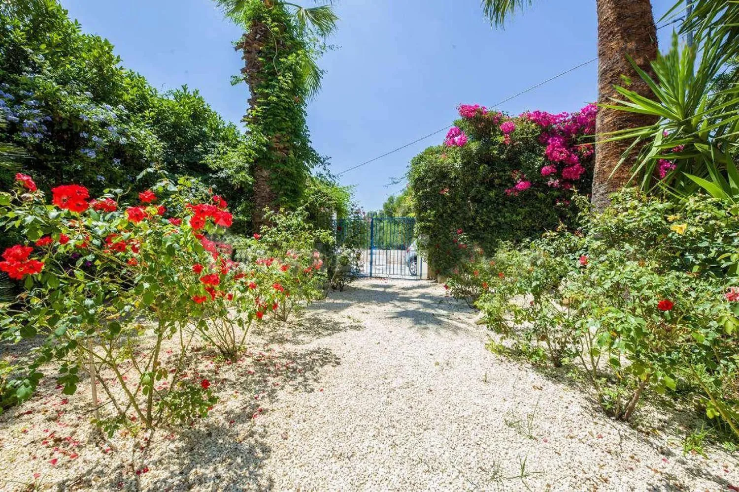 Garden in Suite House L'Isola Che Non C'è