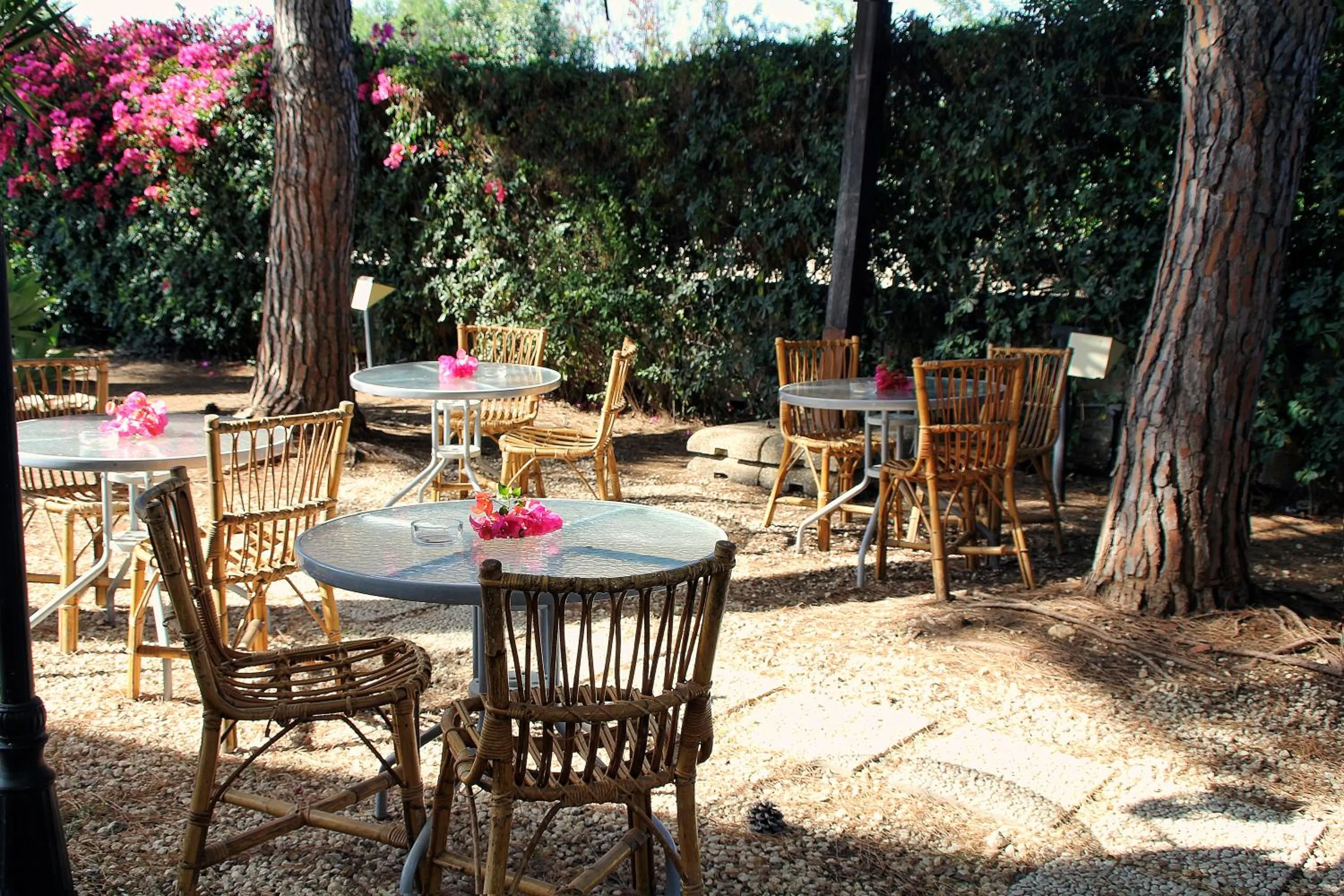 Garden in Suite House L'Isola Che Non C'è