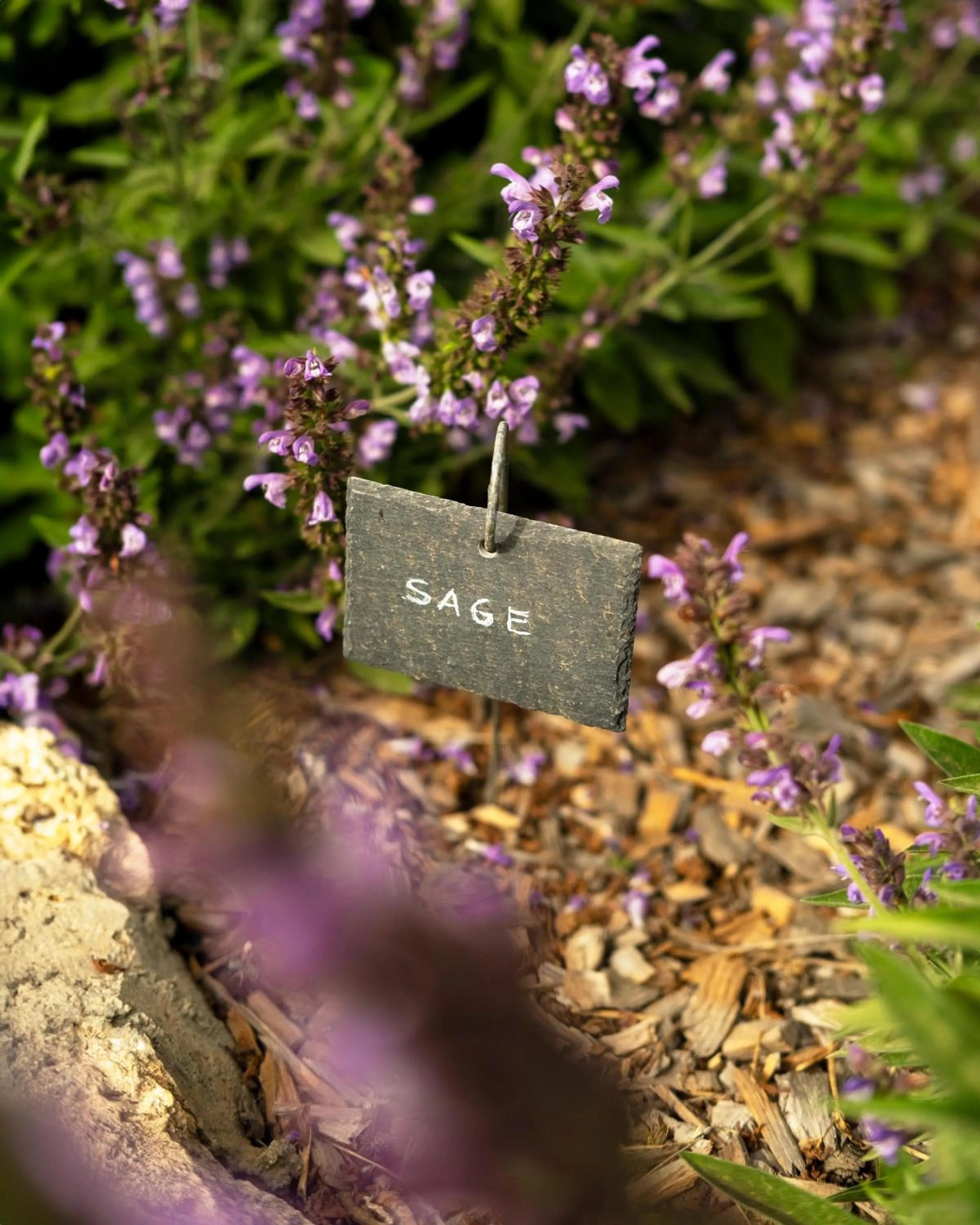 Natural landscape in Predi Son Jaumell Hotel Rural