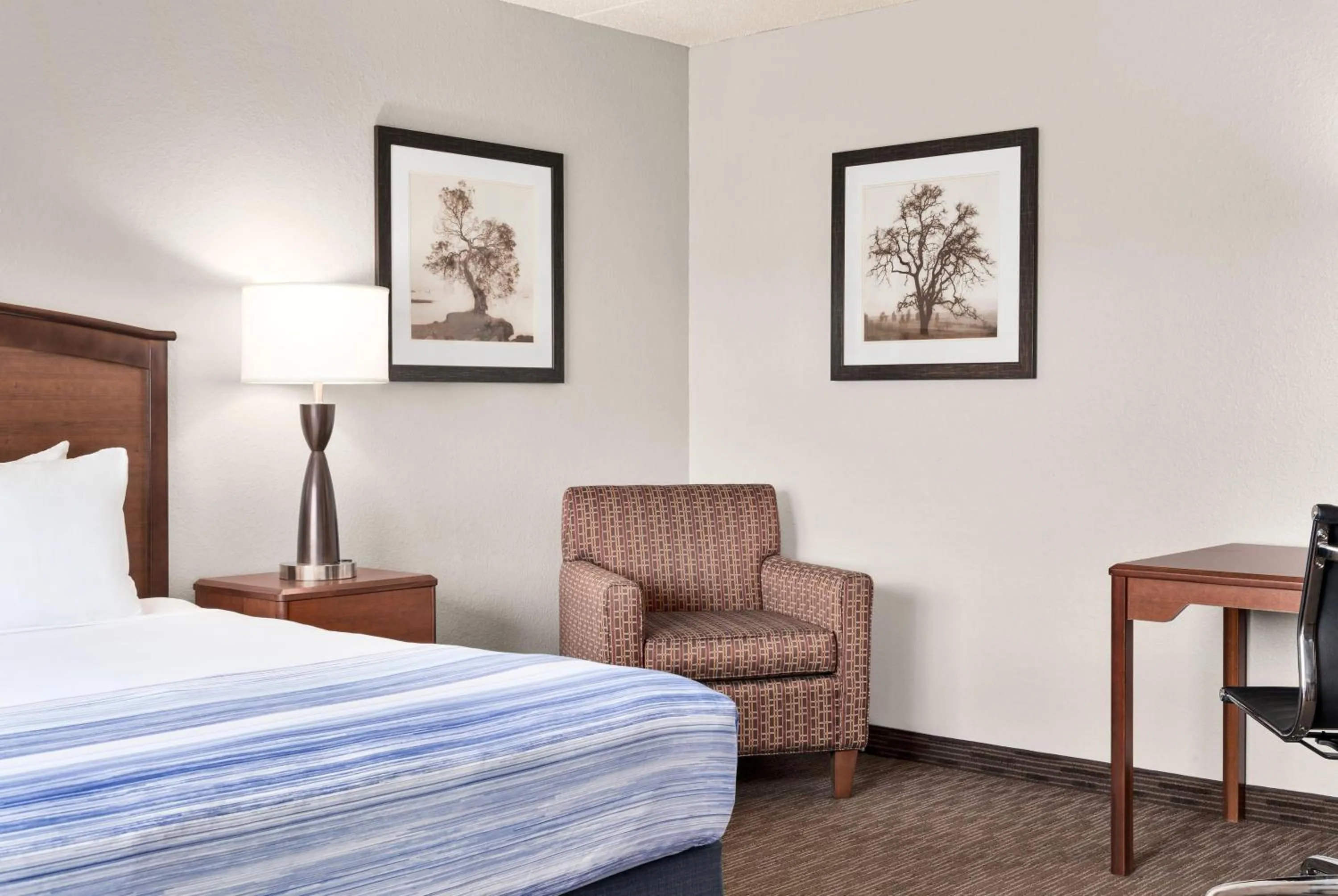 Photo of the whole room, Bed in AmericInn by Wyndham Fergus Falls Conference Center