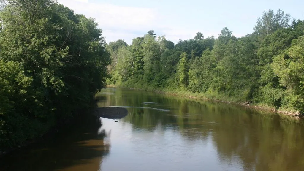 Natural landscape in Motel & Hotel La Paysanne