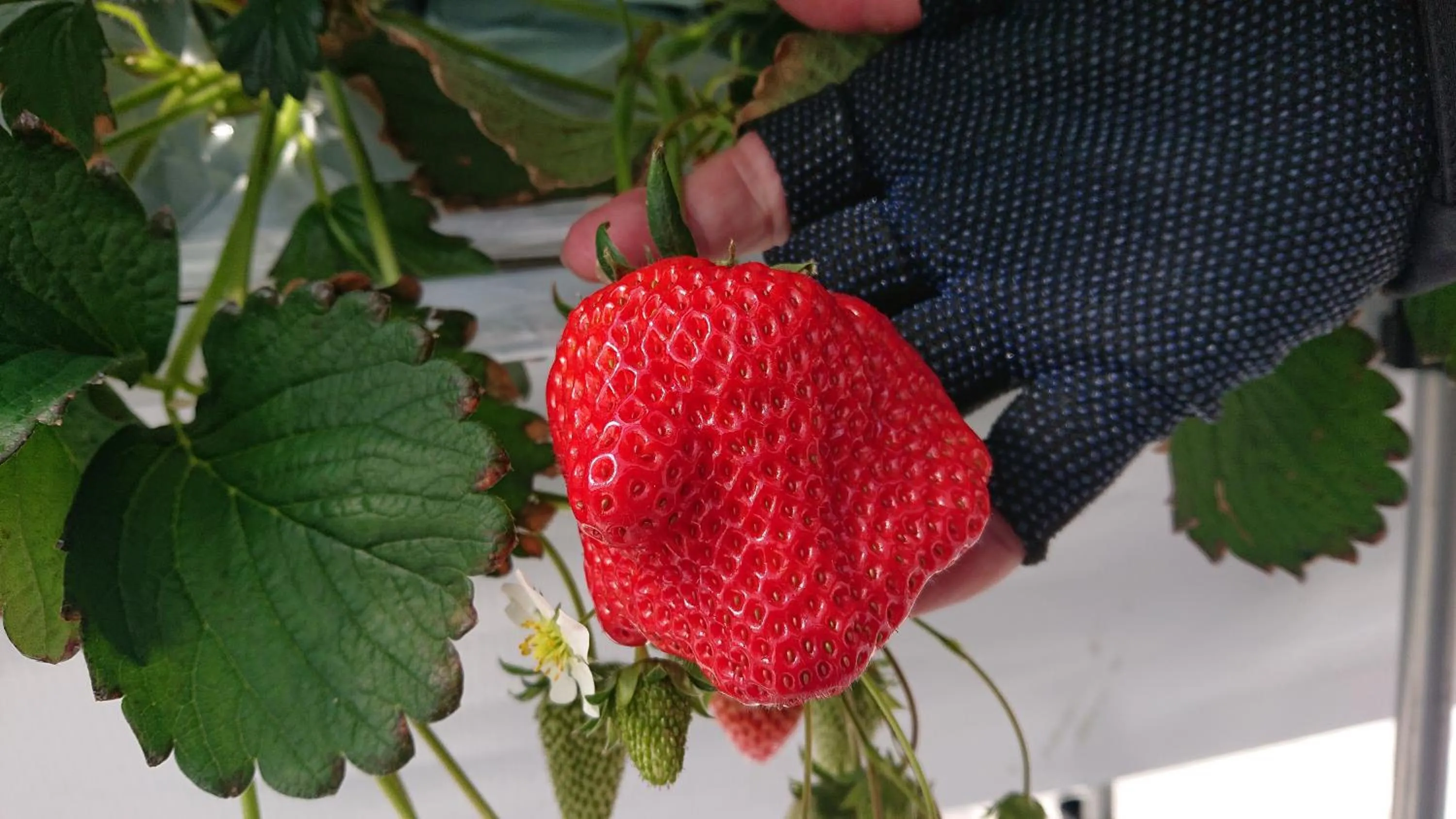 Mt Fuji View Villa Fujino Kirameki Fujigotemba