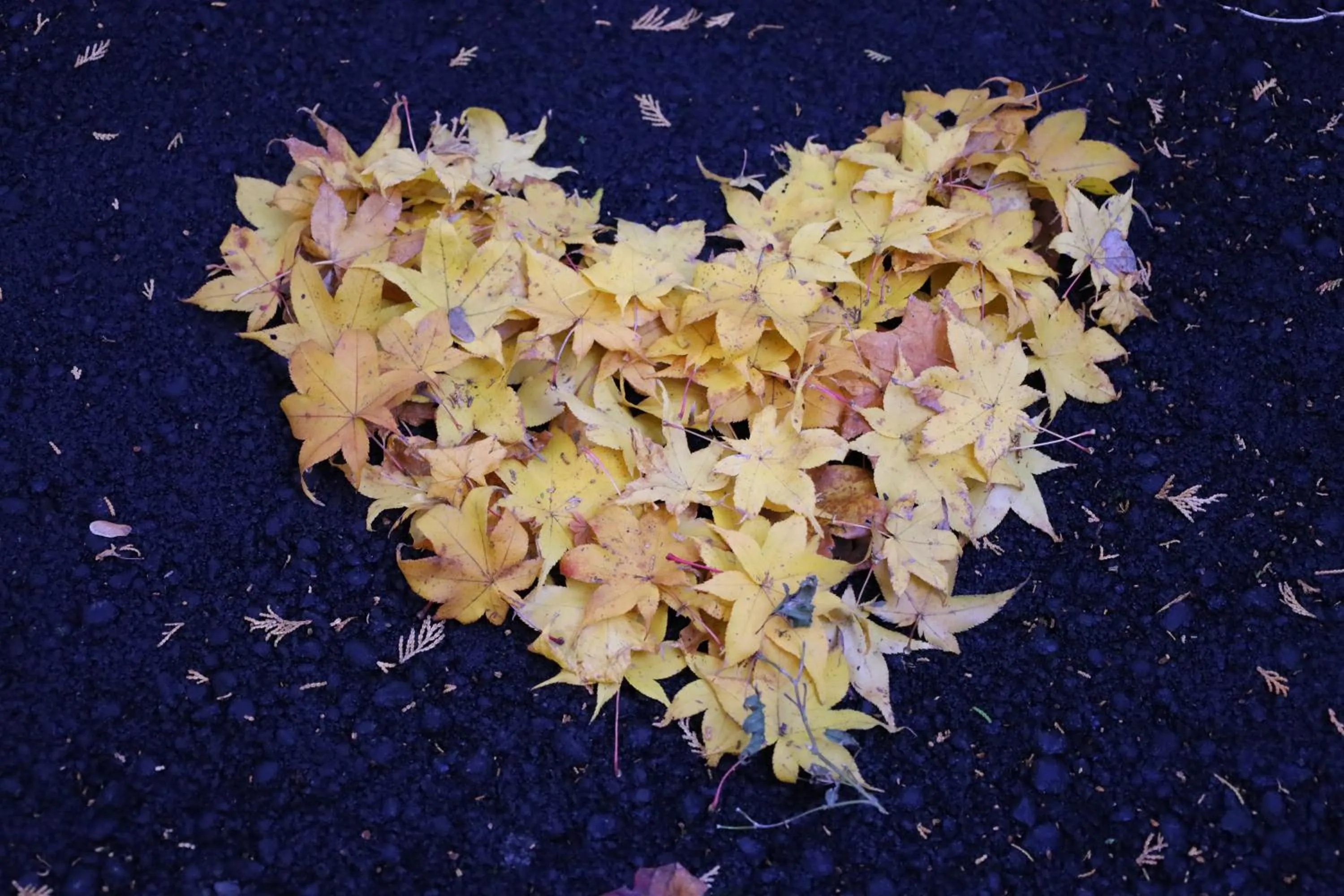 Mt Fuji View Villa Fujino Kirameki Fujigotemba