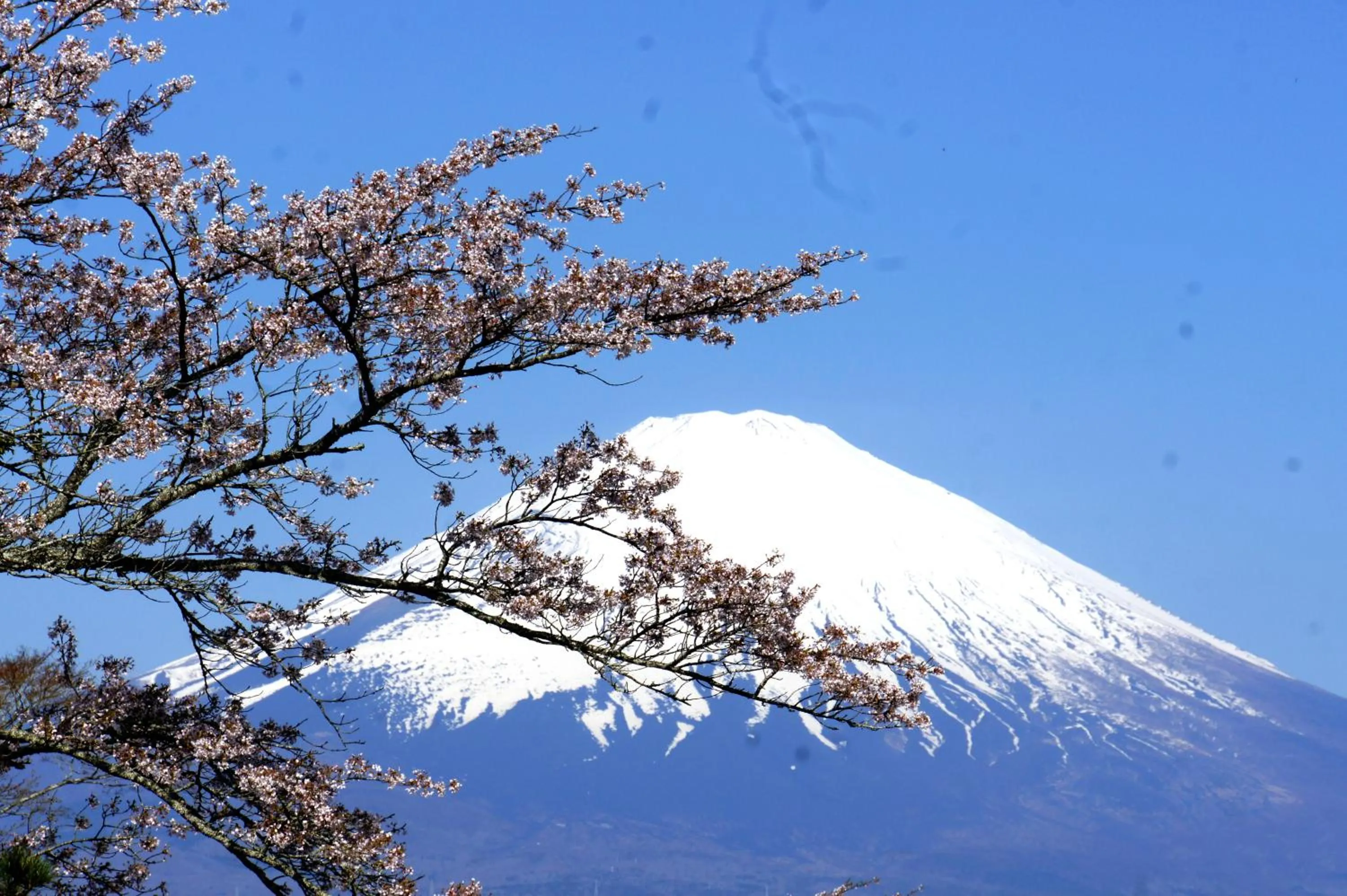 Nearby landmark in Mt Fuji View Villa Fujino Kirameki Fujigotemba