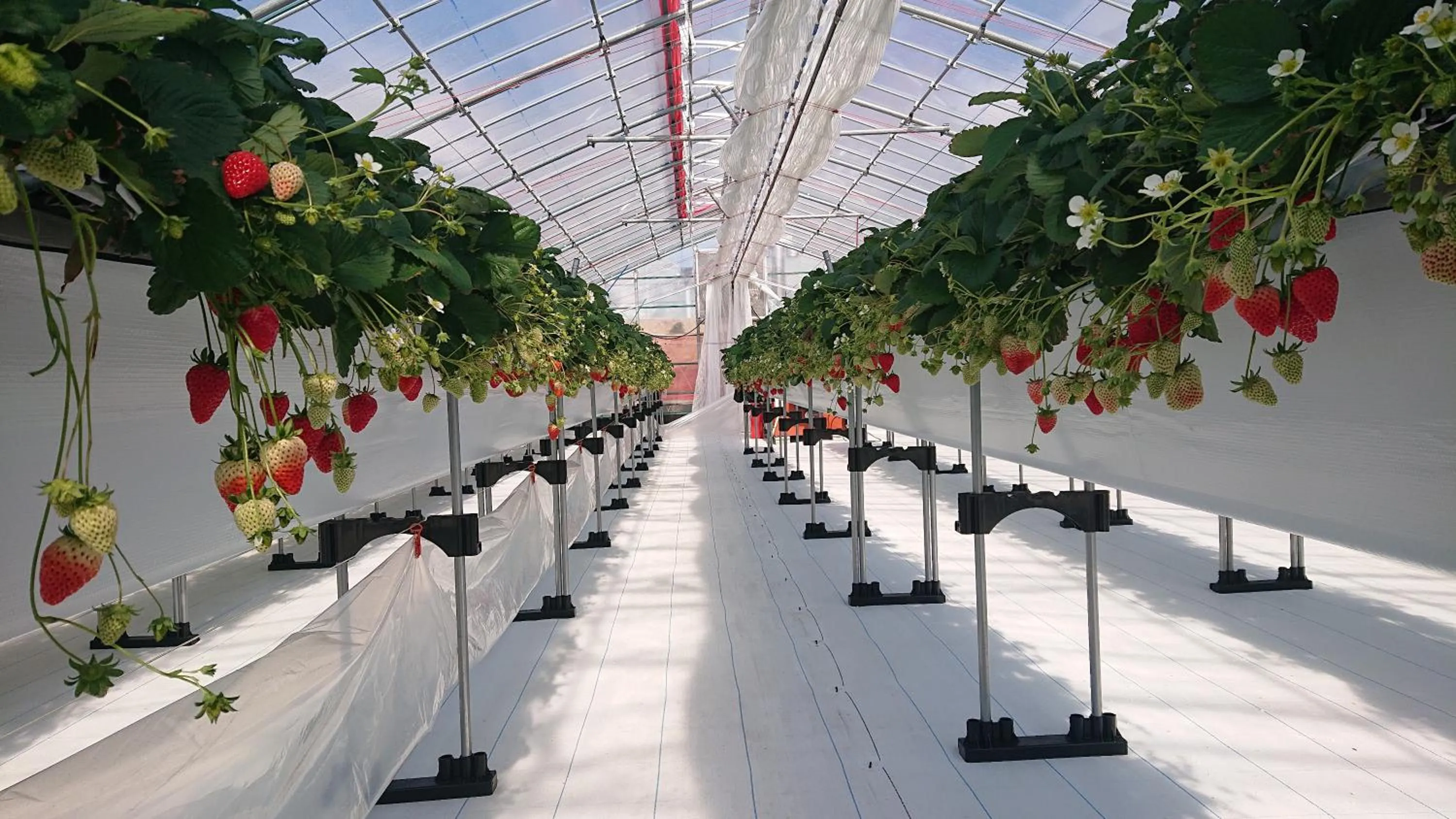 Mt Fuji View Villa Fujino Kirameki Fujigotemba