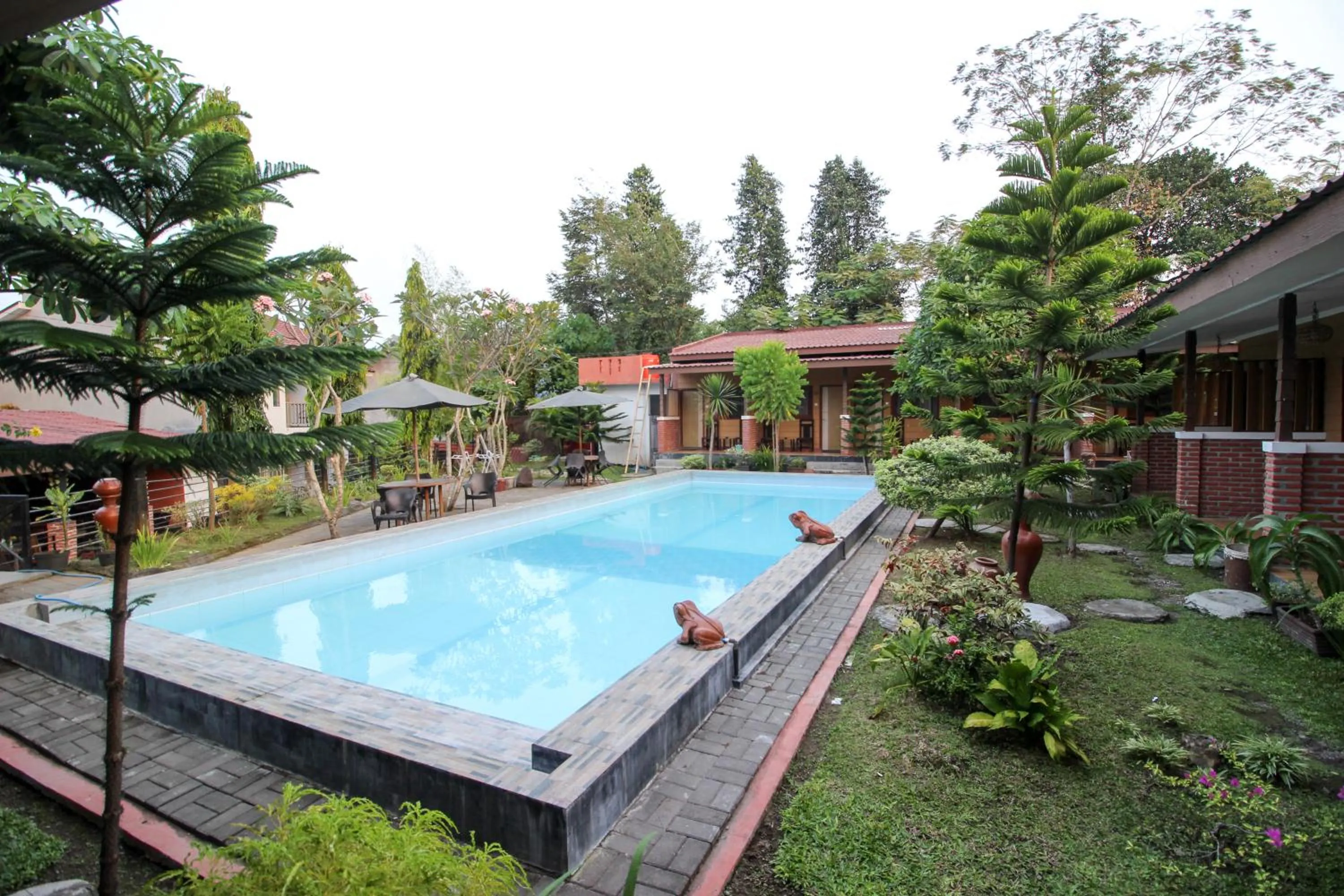 Swimming Pool in RedDoorz Plus @ Jalan Damai 2