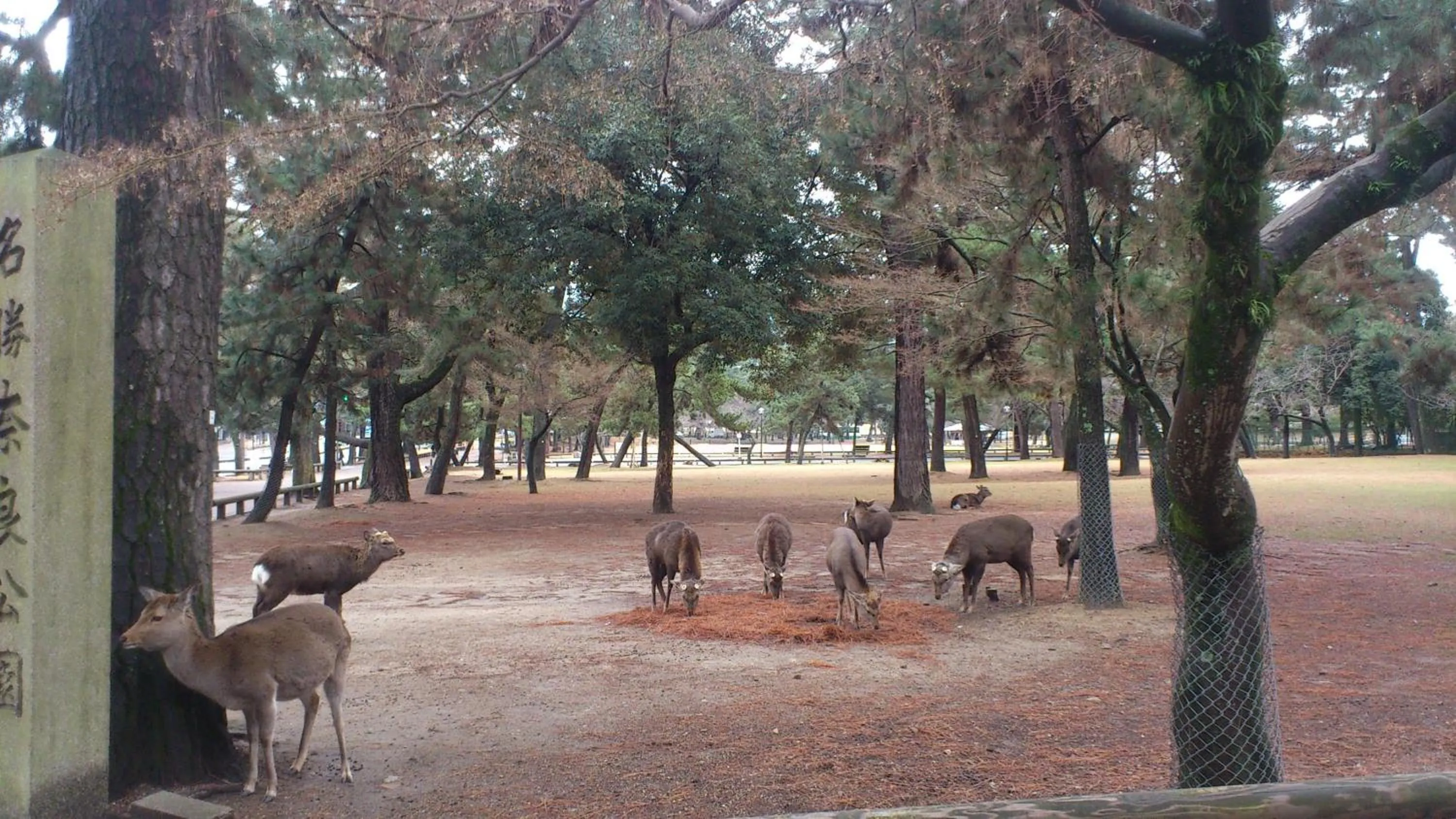 Area and facilities in Daibutsukan