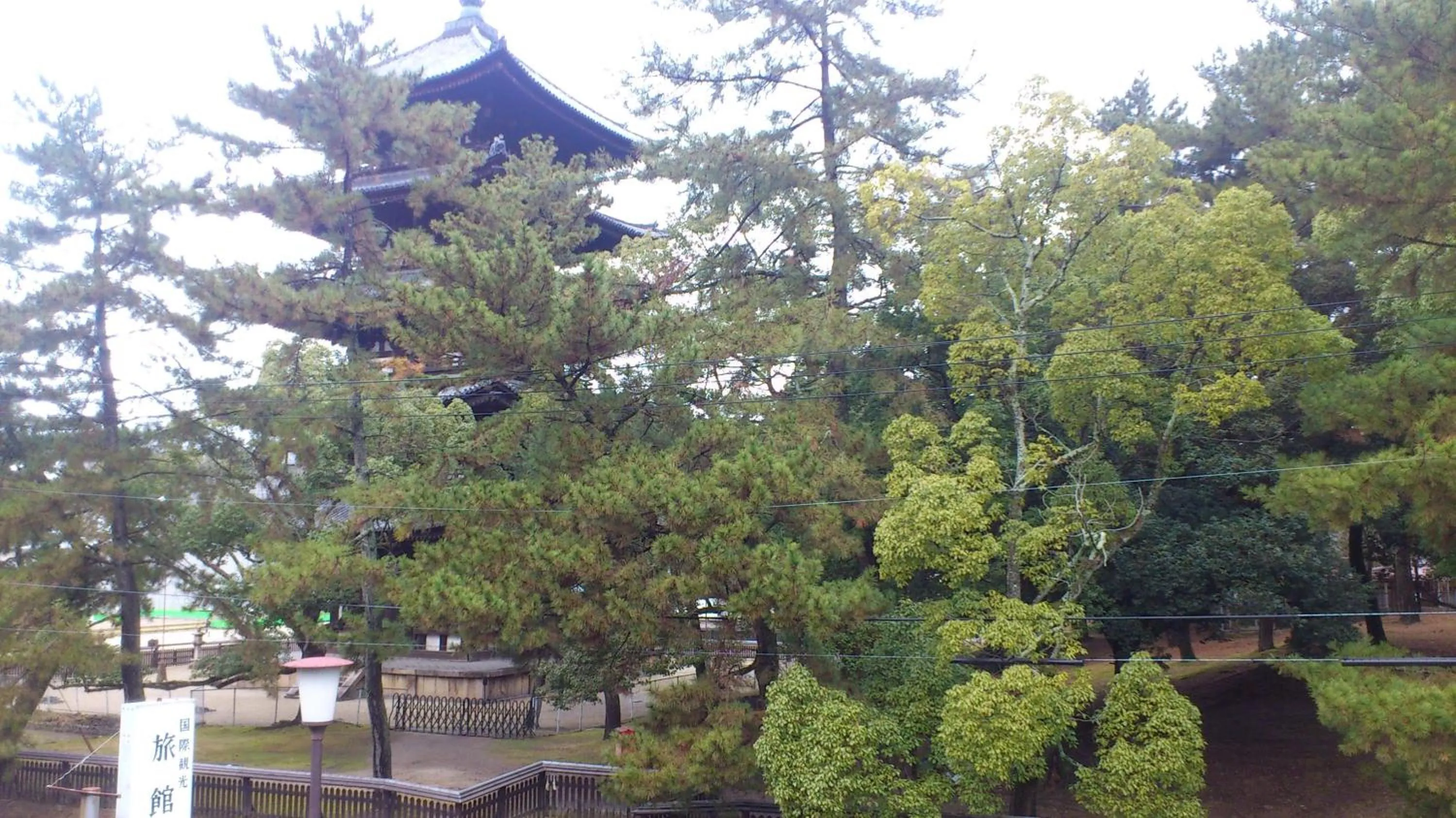 Area and facilities in Daibutsukan