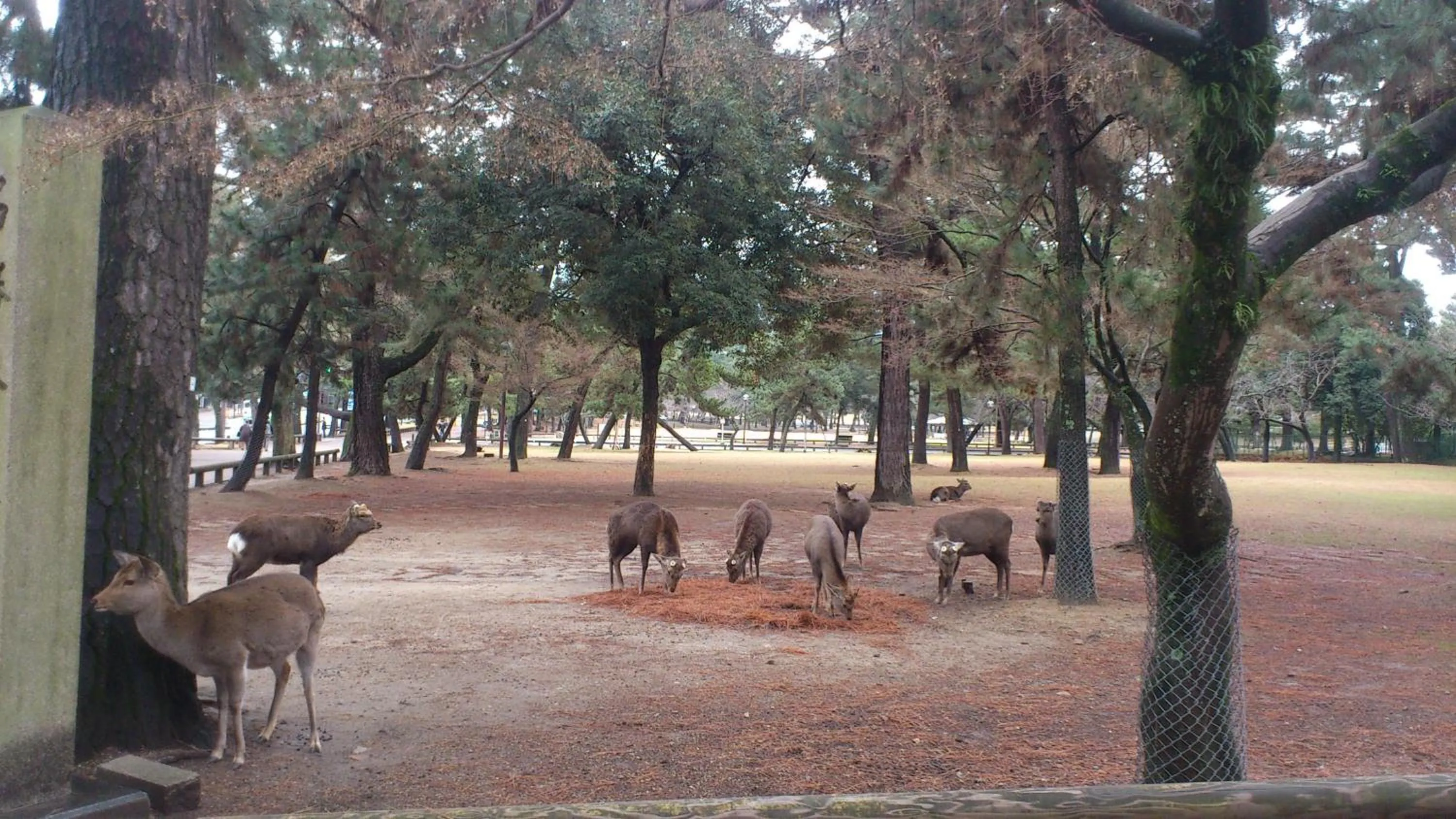 Area and facilities in Daibutsukan