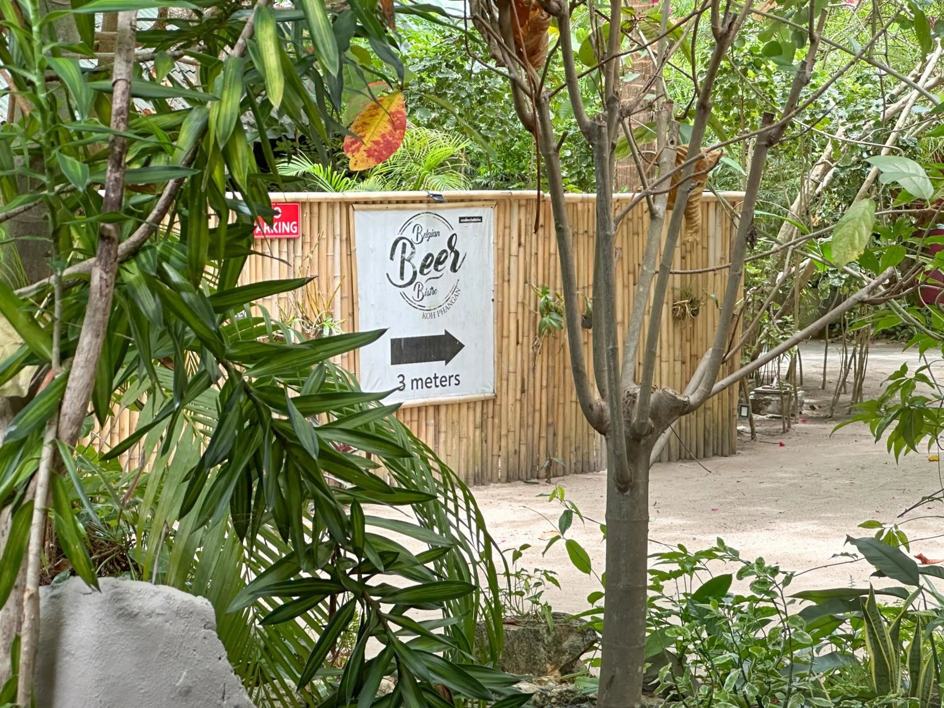 Garden in Seetanu Bungalows