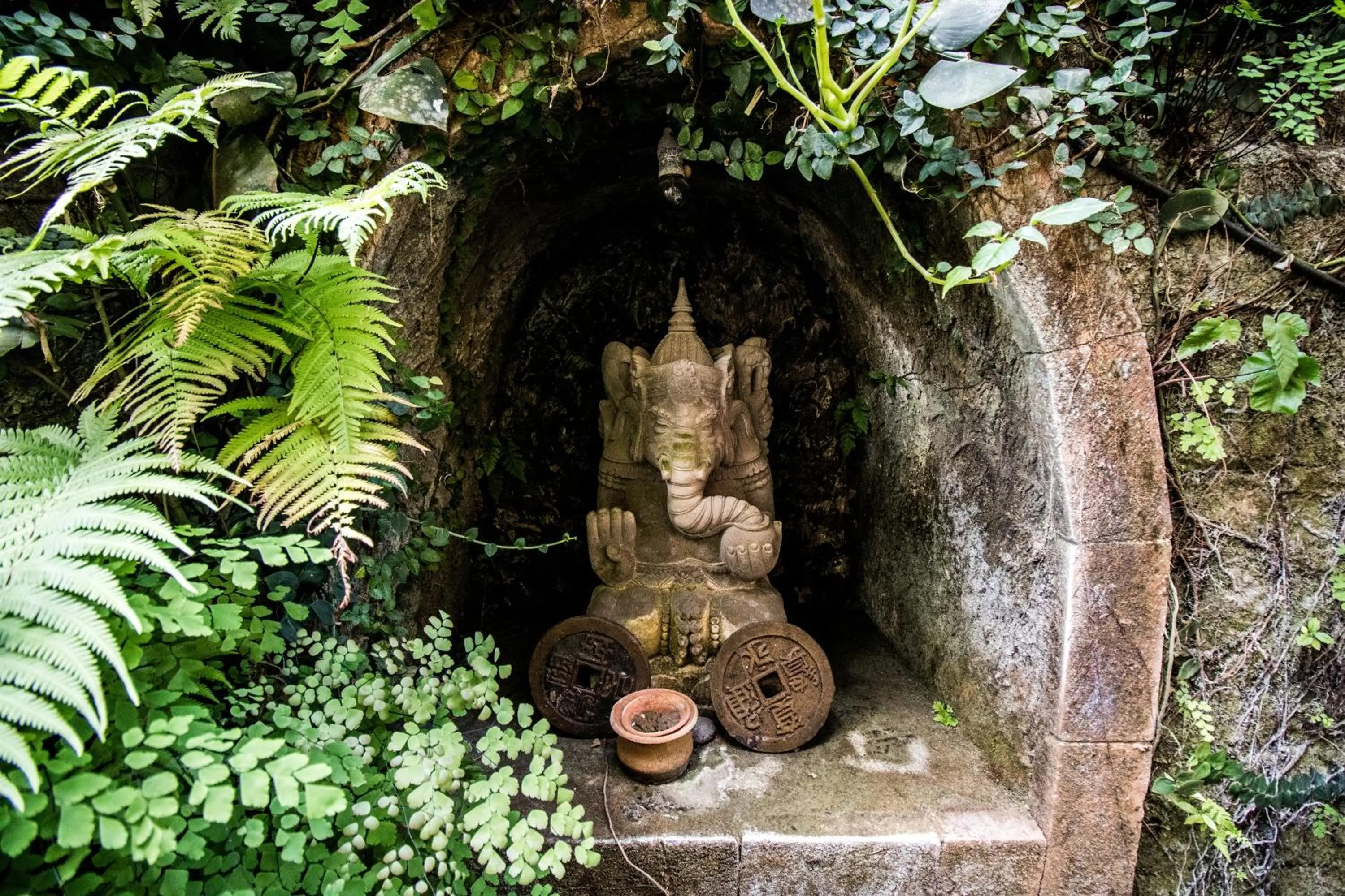 View (from property/room) in Bali Asli Lodge by EPS