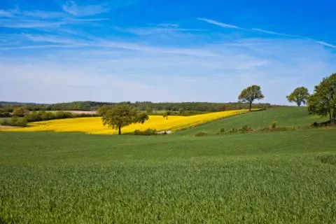 Neighbourhood in Hotel Strandräuber