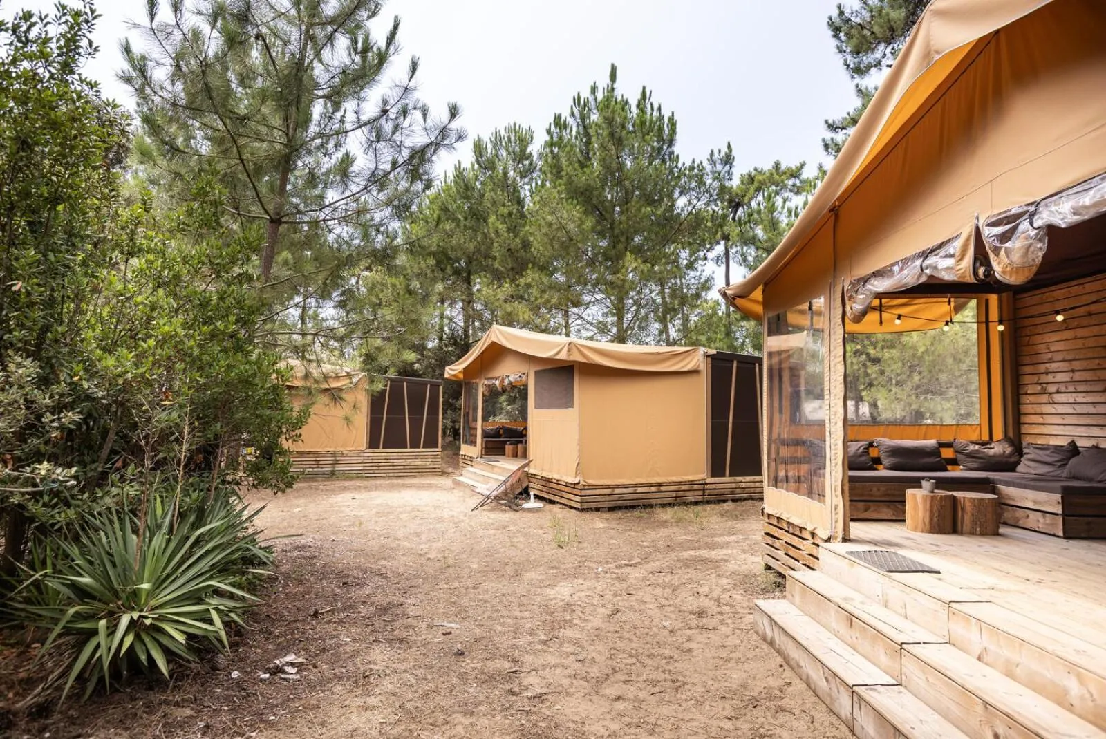 View (from property/room) in Huttopia Oleron Les Pins
