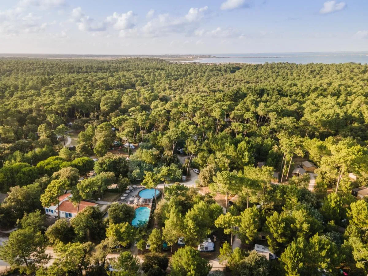 Natural landscape in Huttopia Oleron Les Pins