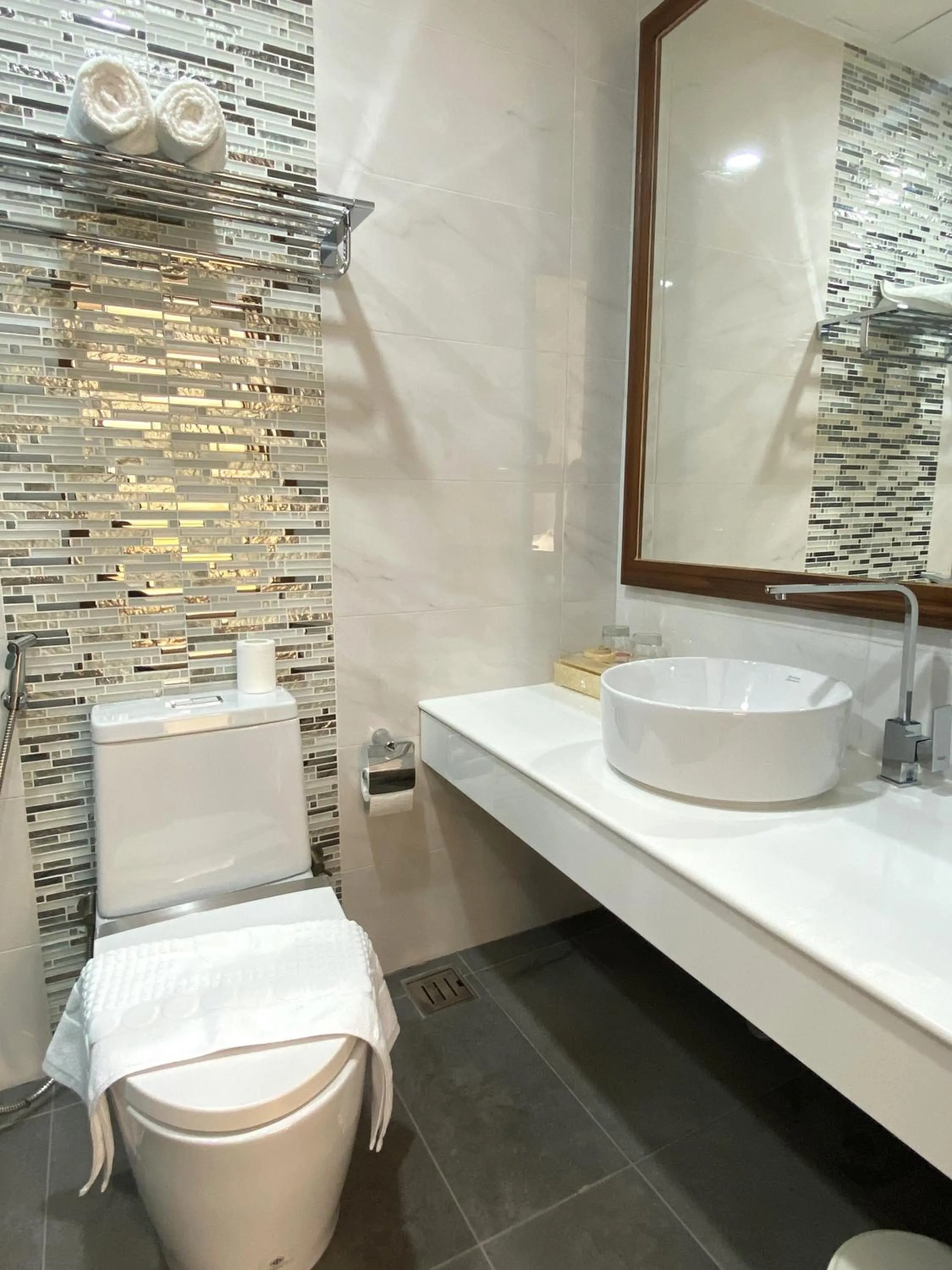 Toilet in Paralian Hulhumale'