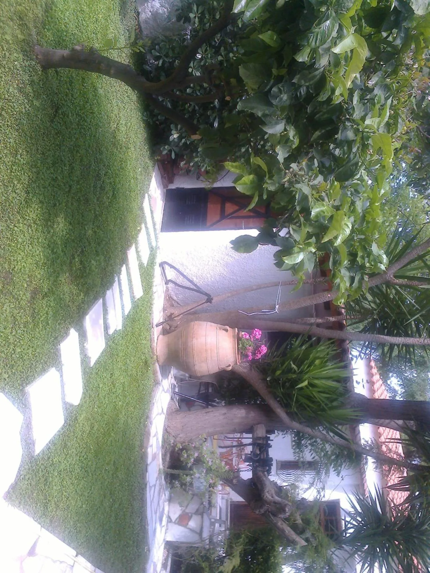 Garden in Villa Belmar Self-Catered Apartments