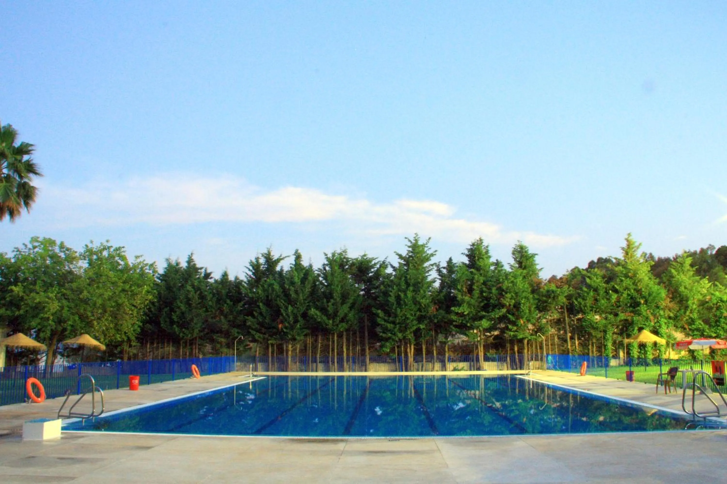 Camping Sierra de las Nieves