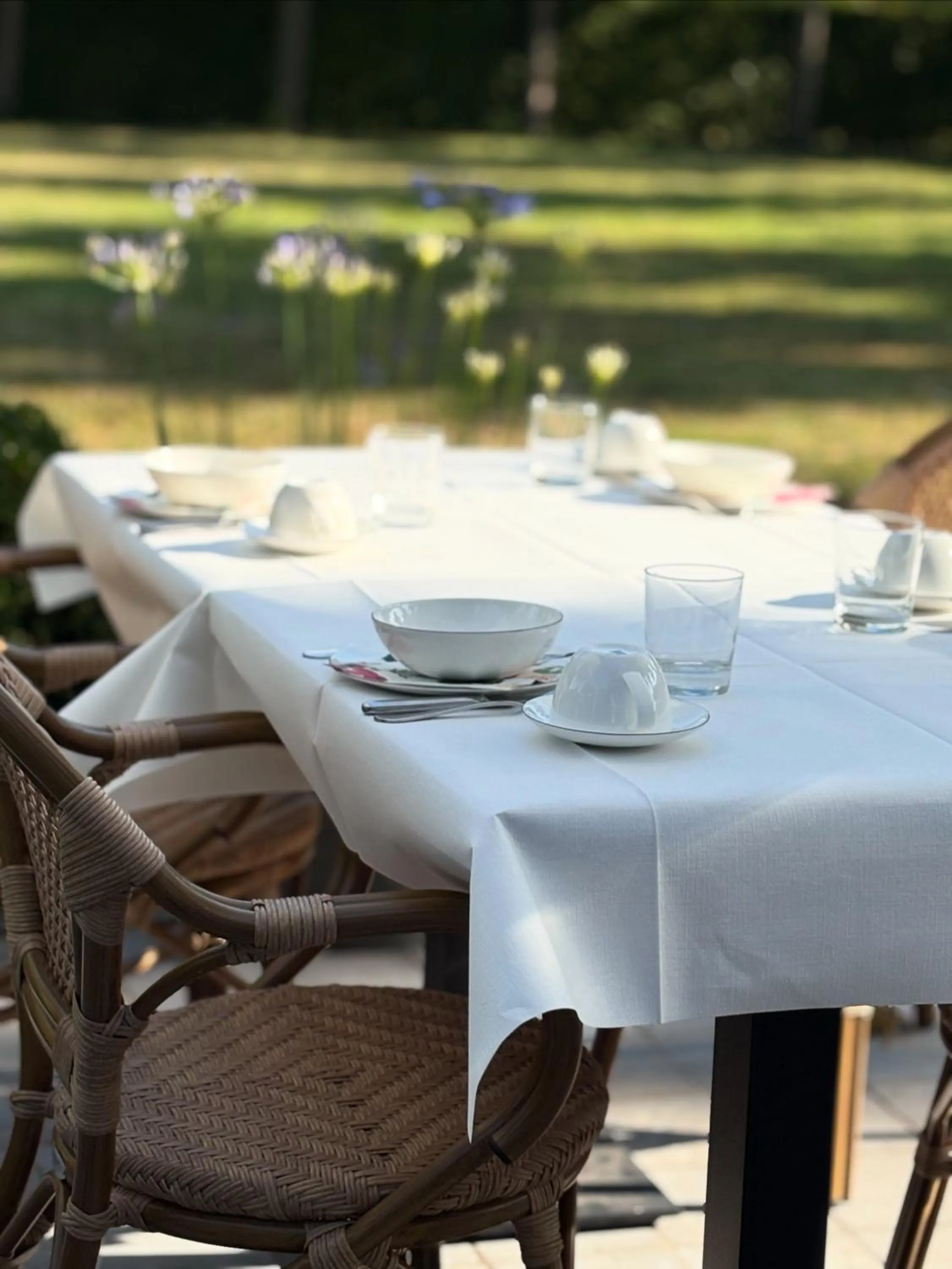 Garden in B&B 't Kasteel & 't Koetshuys