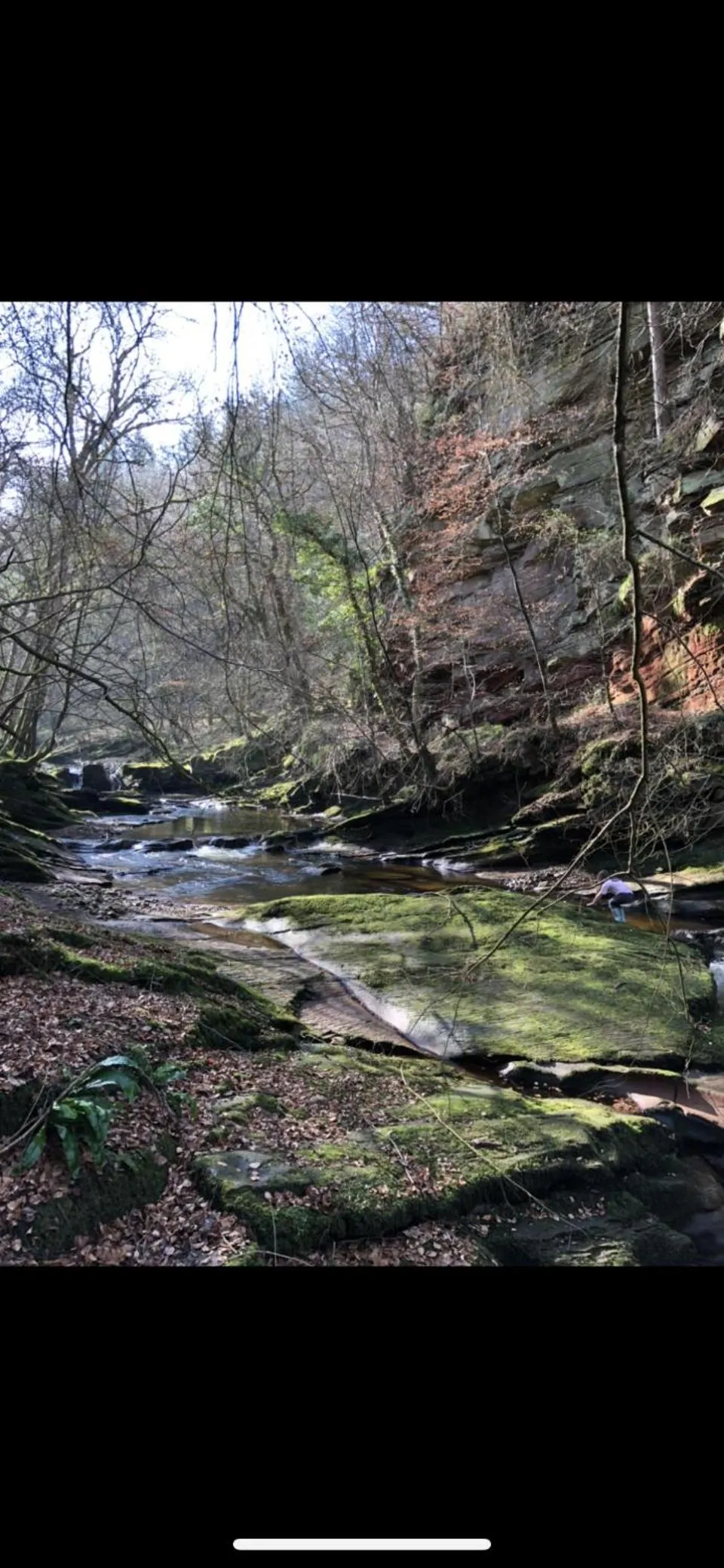 Natural landscape in String Of Horses