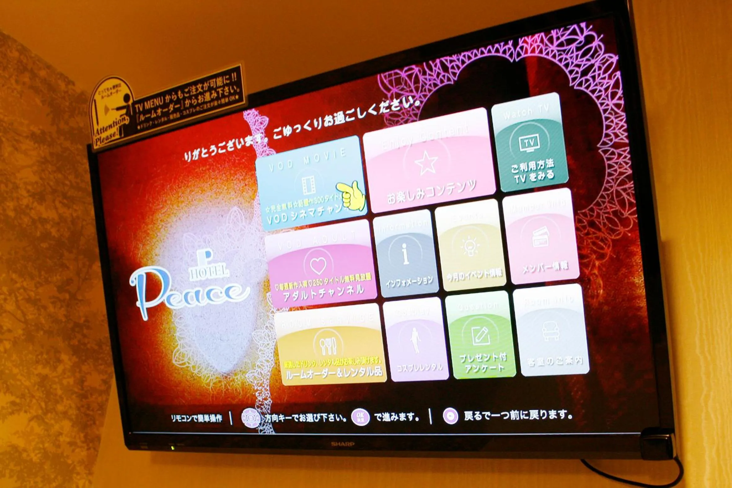 TV and multimedia in Hotel Peace (Adult Only)