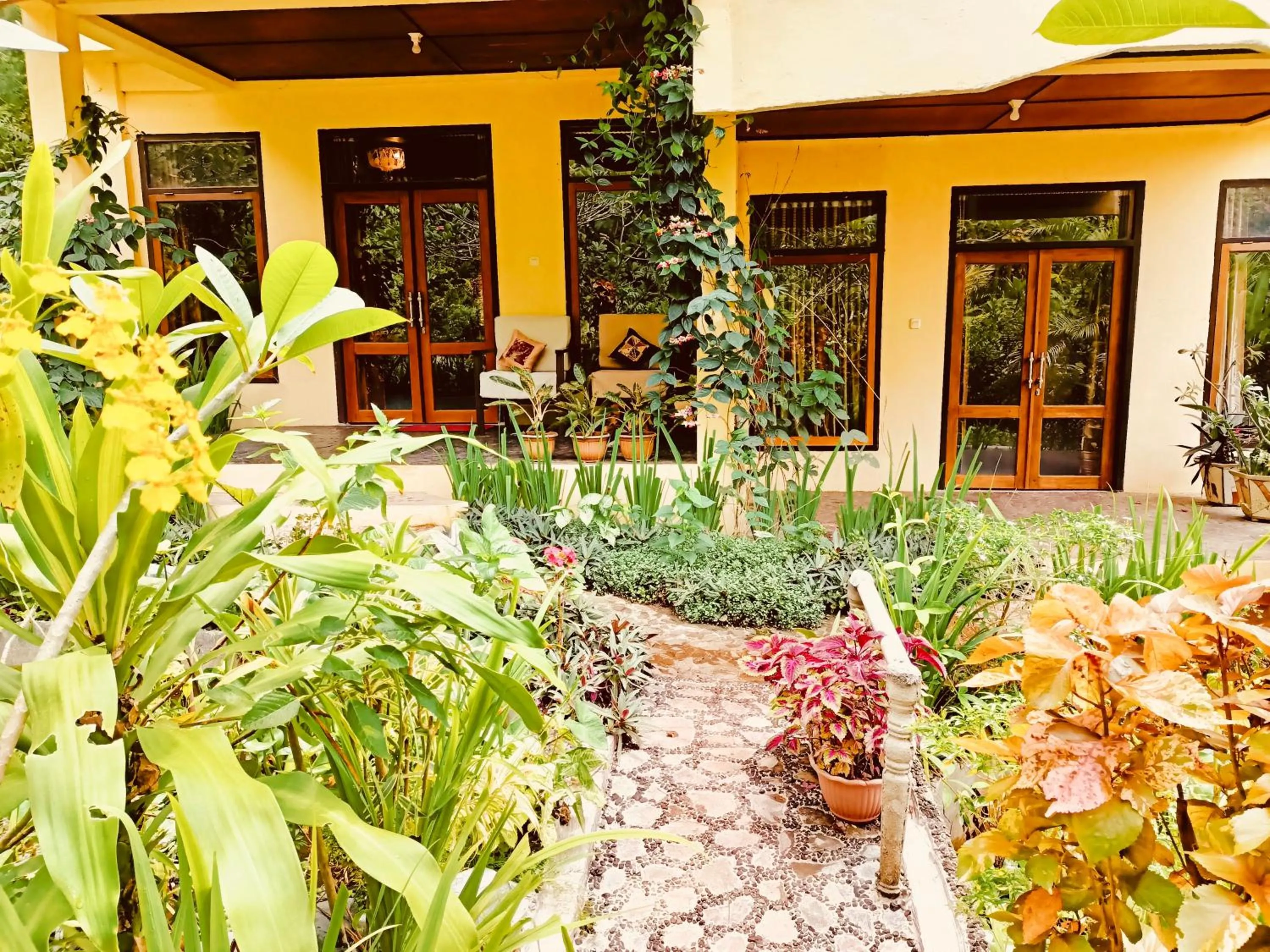 Villa with Garden View in Tangkoko Sanctuary Villa