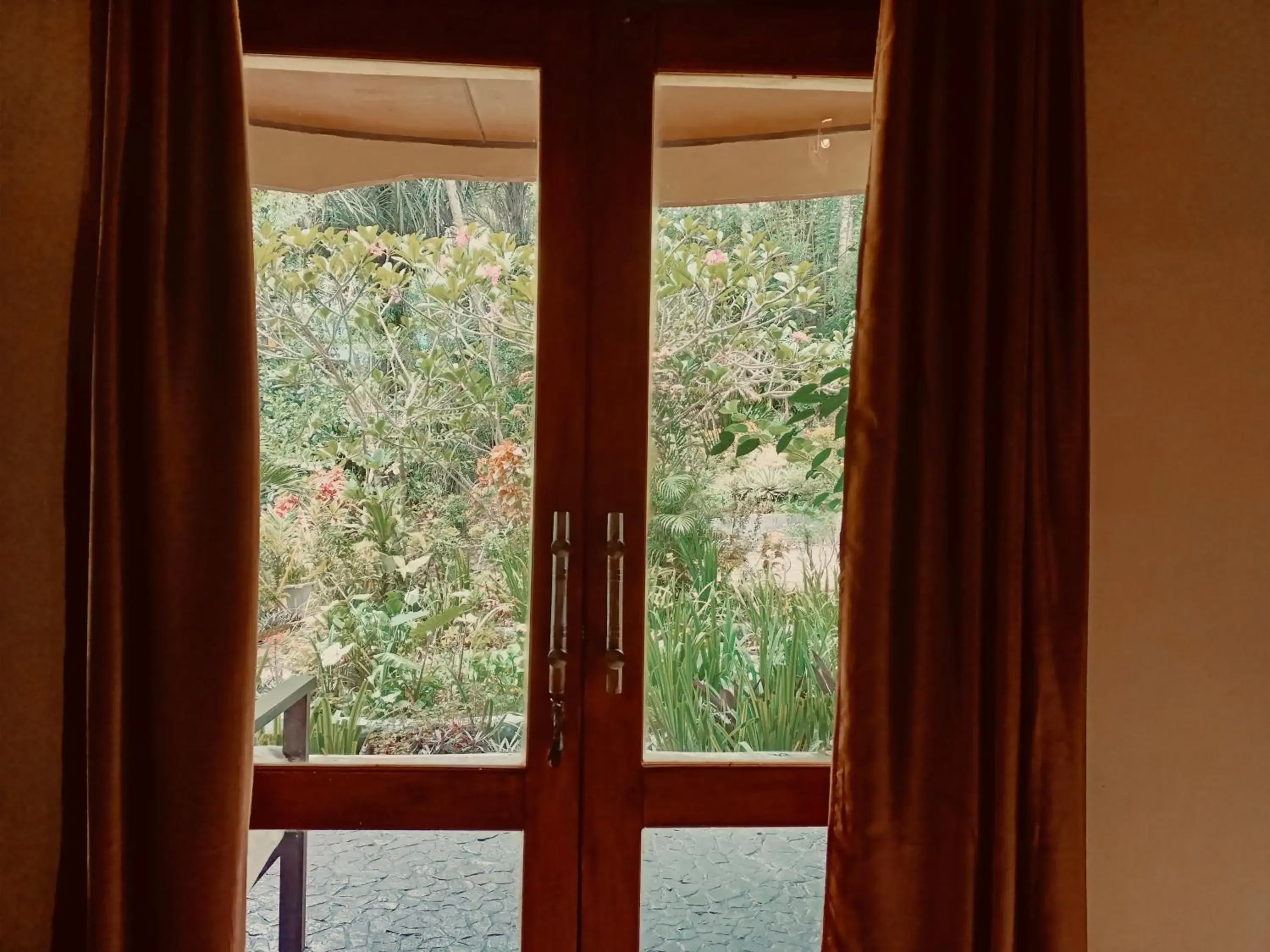 Villa with Garden View in Tangkoko Sanctuary Villa Villa with Garden View in Tangkoko Sanctuary Villa