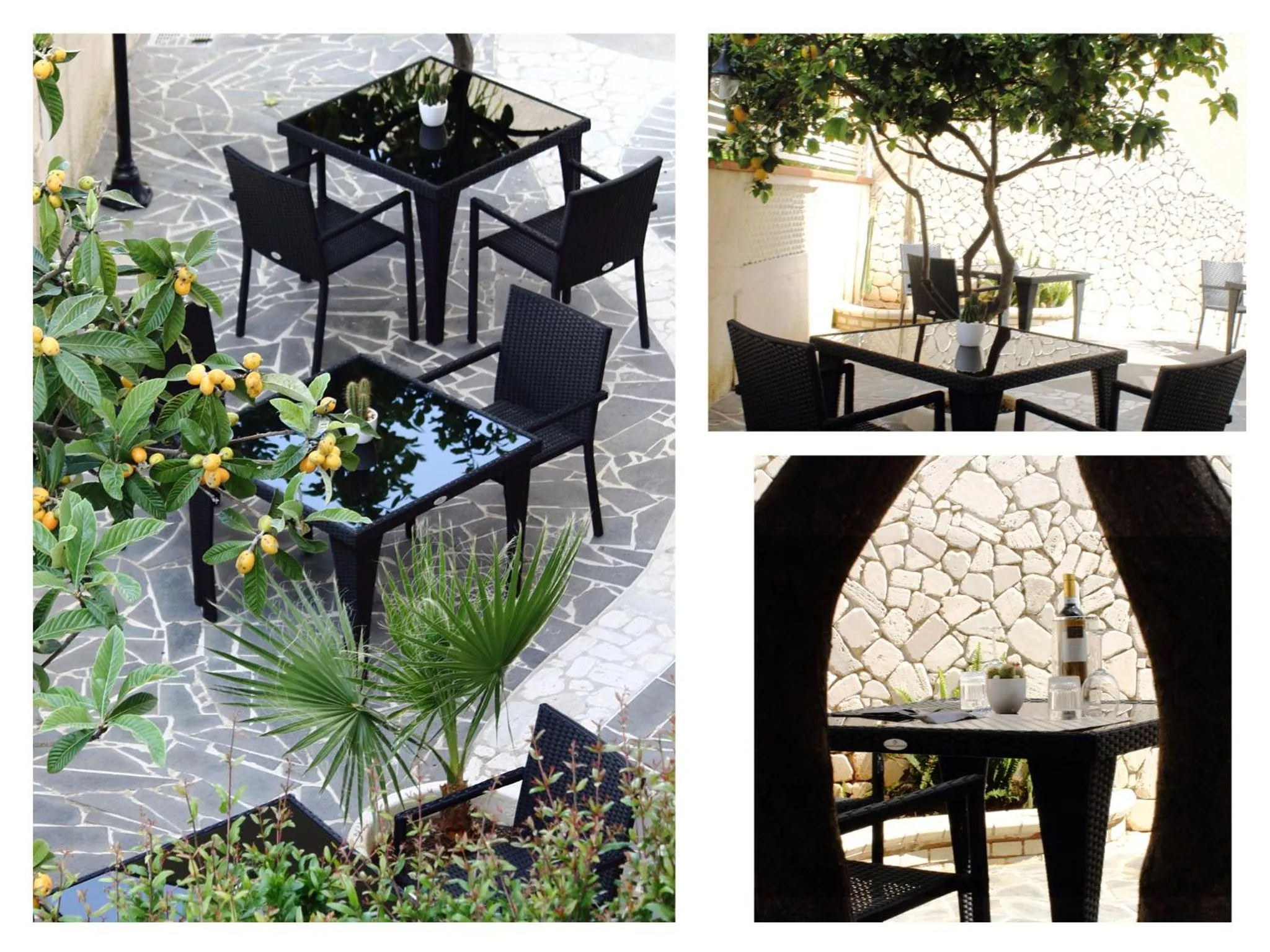 Garden in Hotel Barbieri