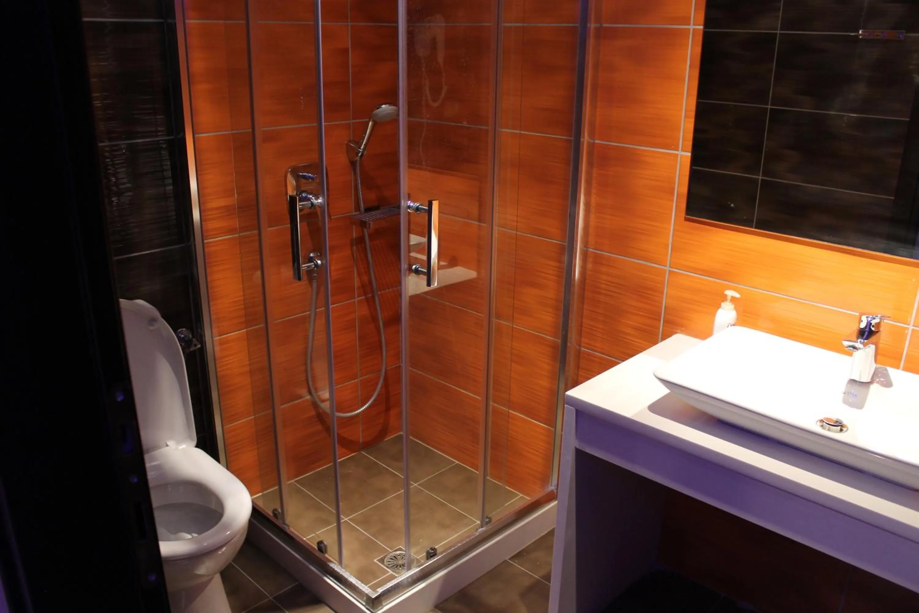 Bathroom in La caretta