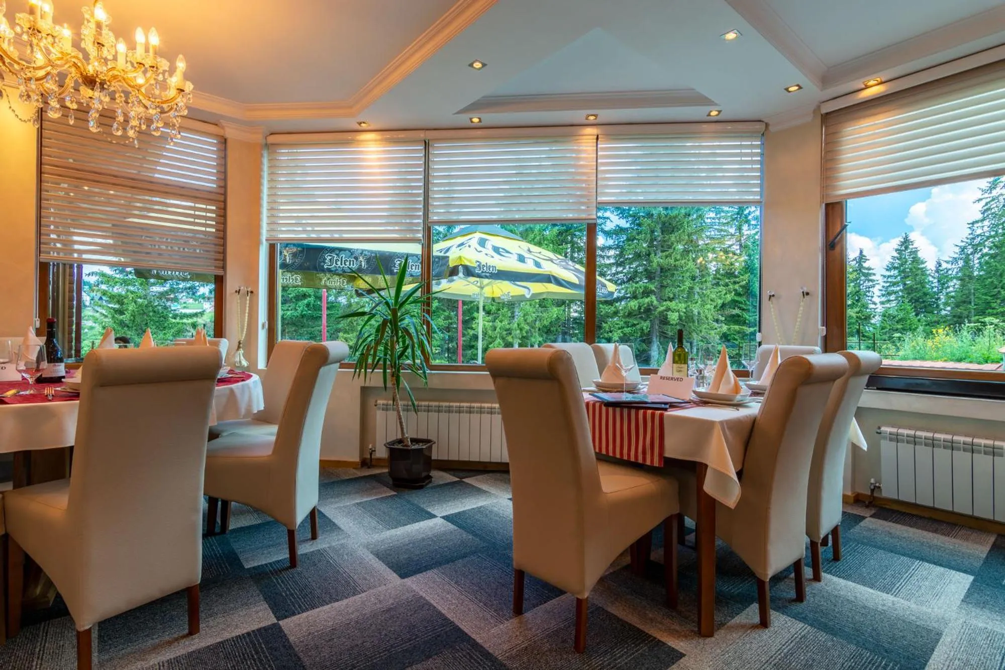 Restaurant/places to eat in Ski Hotel