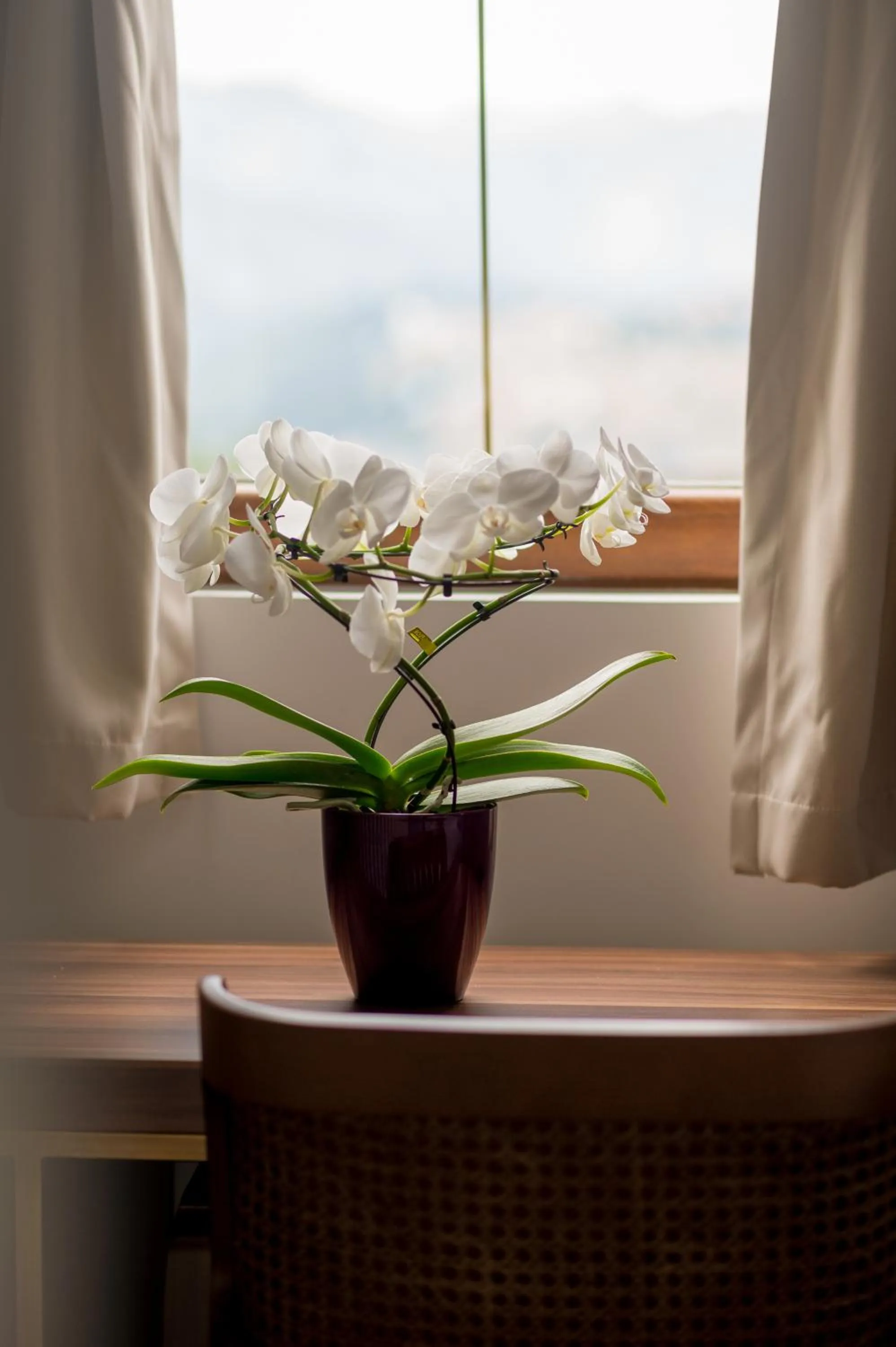 Decorative detail in Ski Hotel