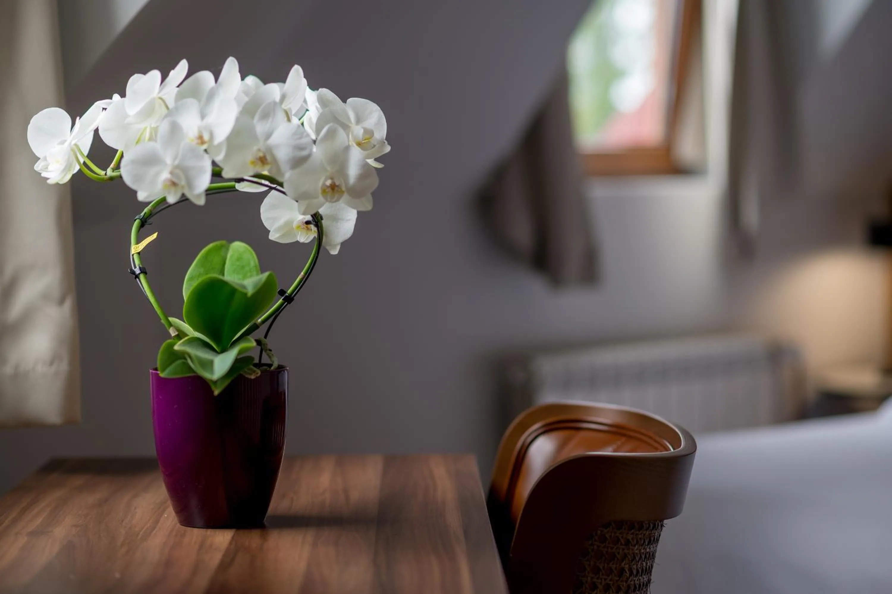 Decorative detail in Ski Hotel