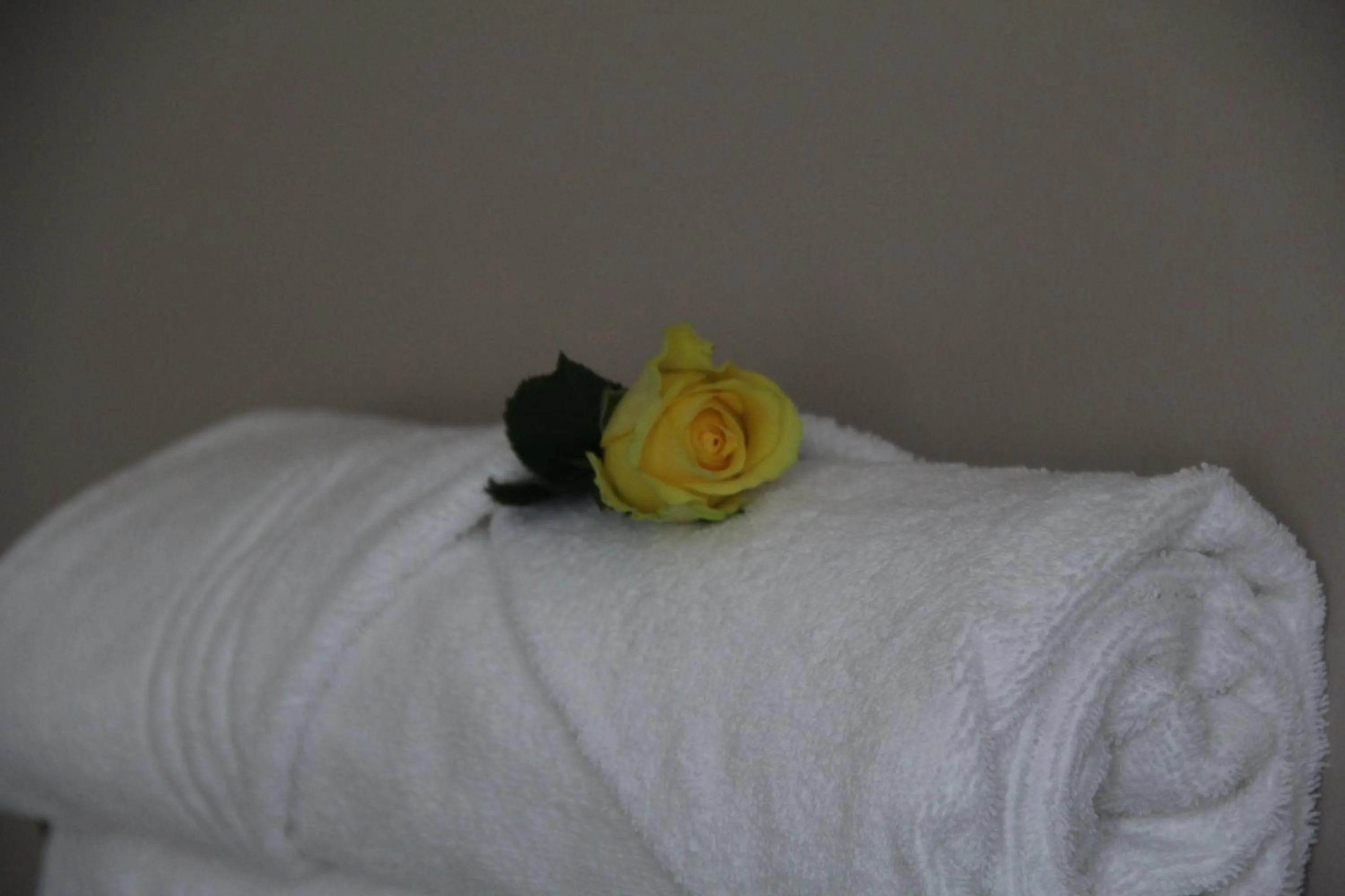 towels, Bed in Seaview Manor Exquisite Bed & Breakfast