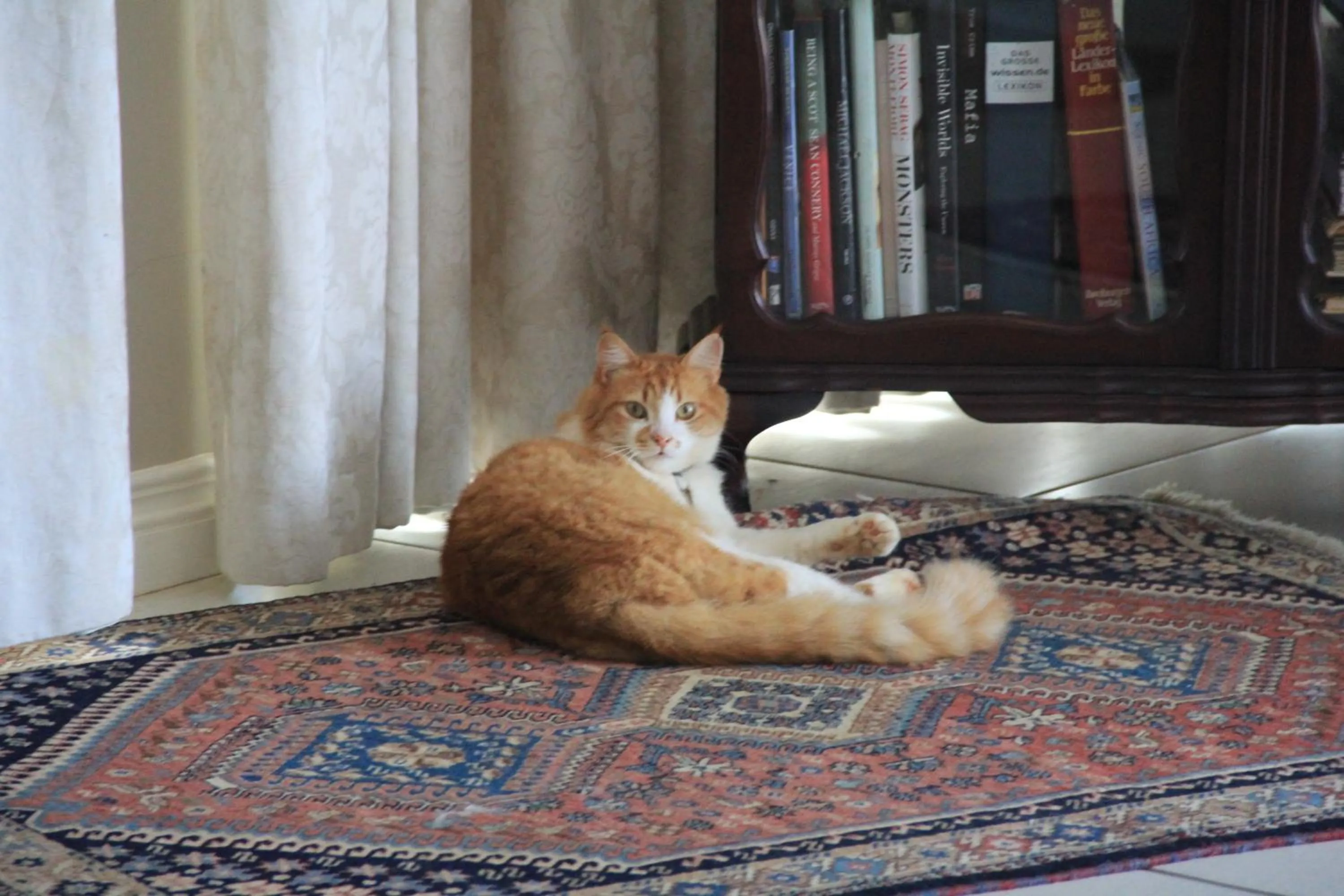 Pets in Seaview Manor Exquisite Bed & Breakfast