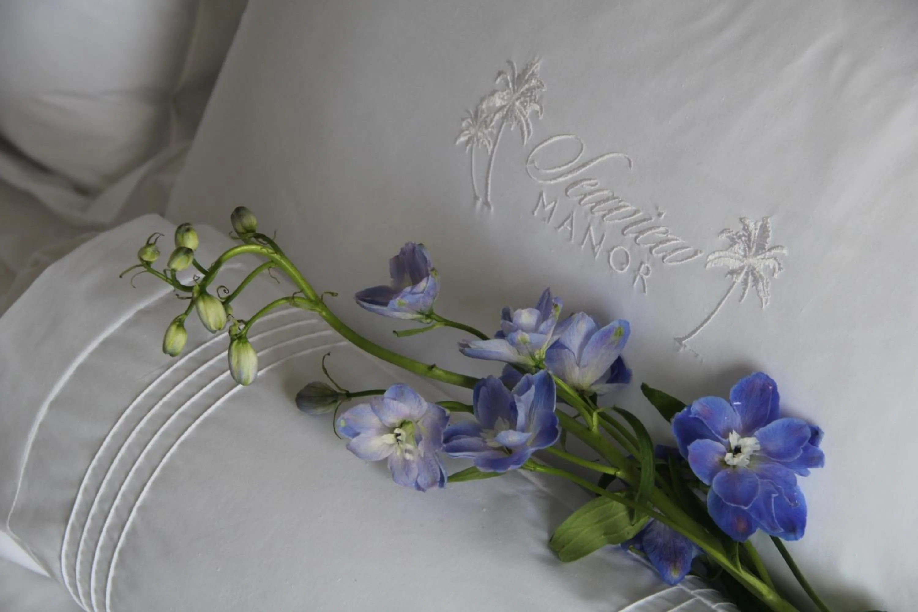 Other, Bed in Seaview Manor Exquisite Bed & Breakfast