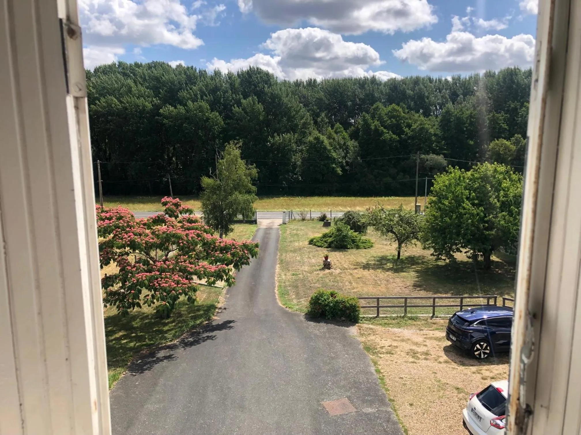 Natural landscape in Au Nom des Dames, Maison et Table d'Hôtes, près de Chenonceau et du Zoo de Beauval