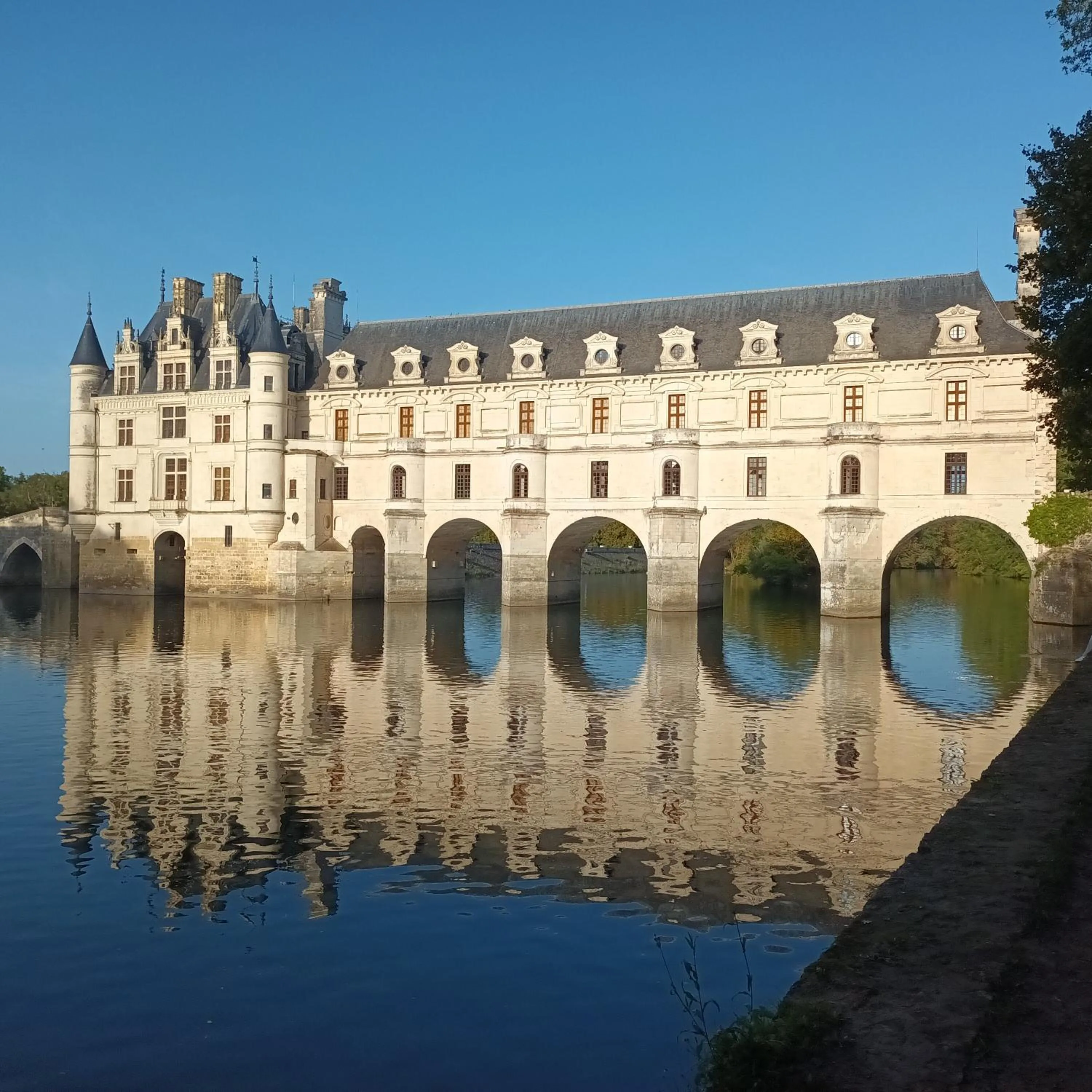 Nearby landmark in Au Nom des Dames, Maison et Table d'Hôtes, près de Chenonceau et du Zoo de Beauval