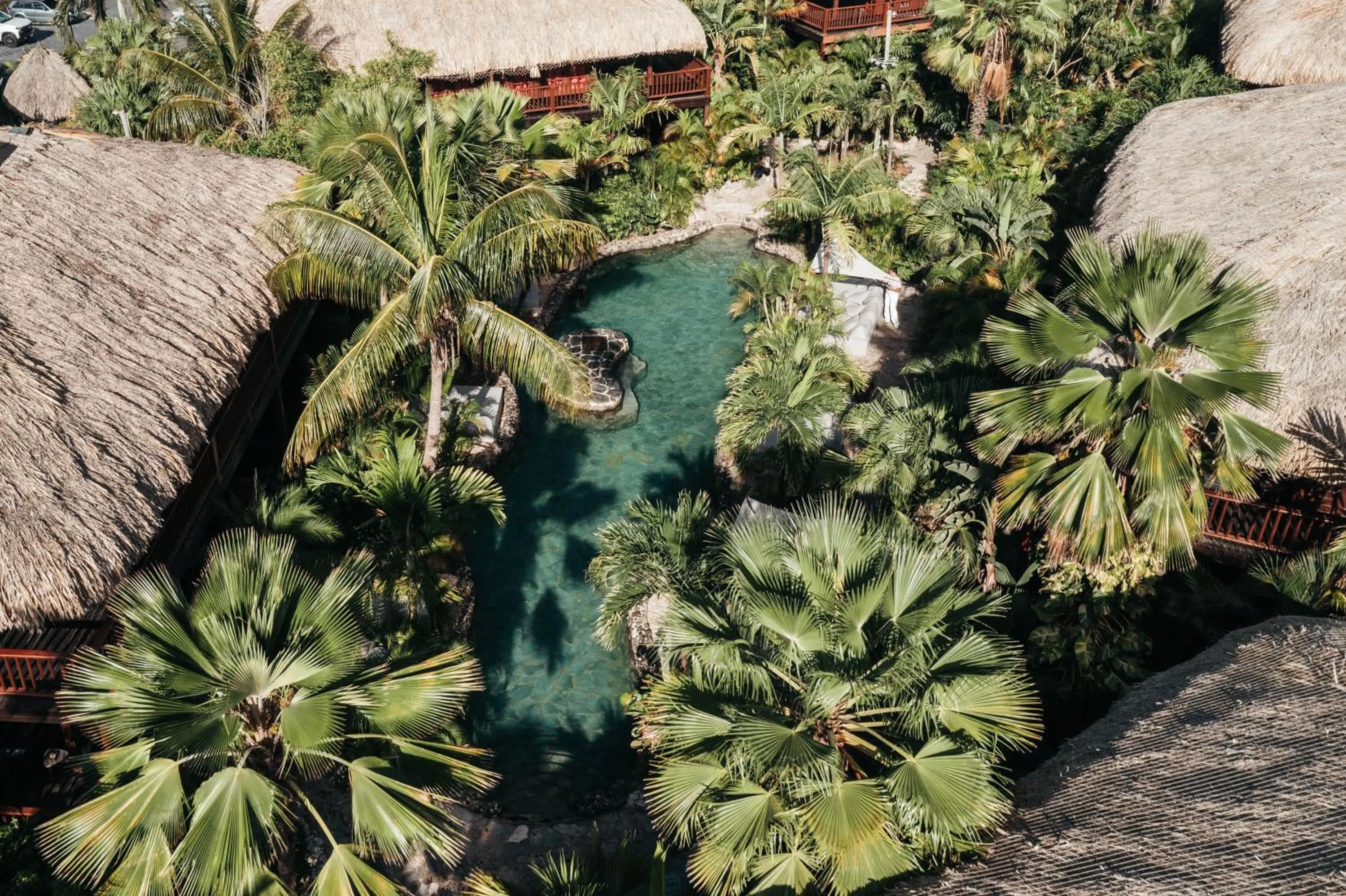 Garden in Kontiki Beach Resort