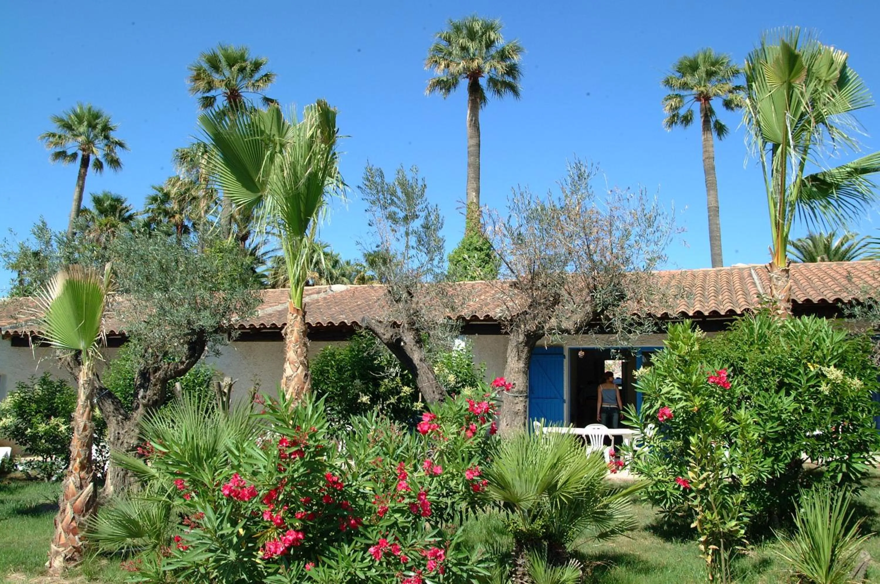 Day in Residence La Palmeraie