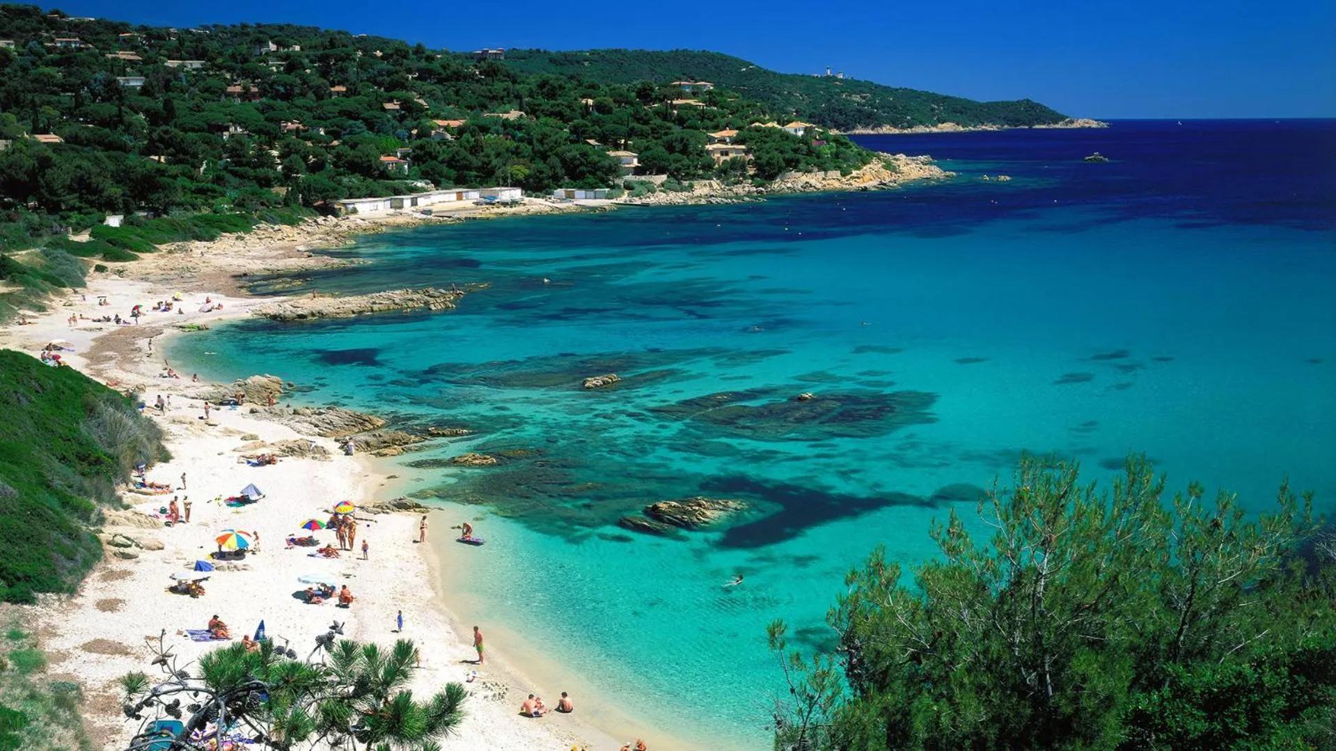 Natural landscape in Residence La Palmeraie