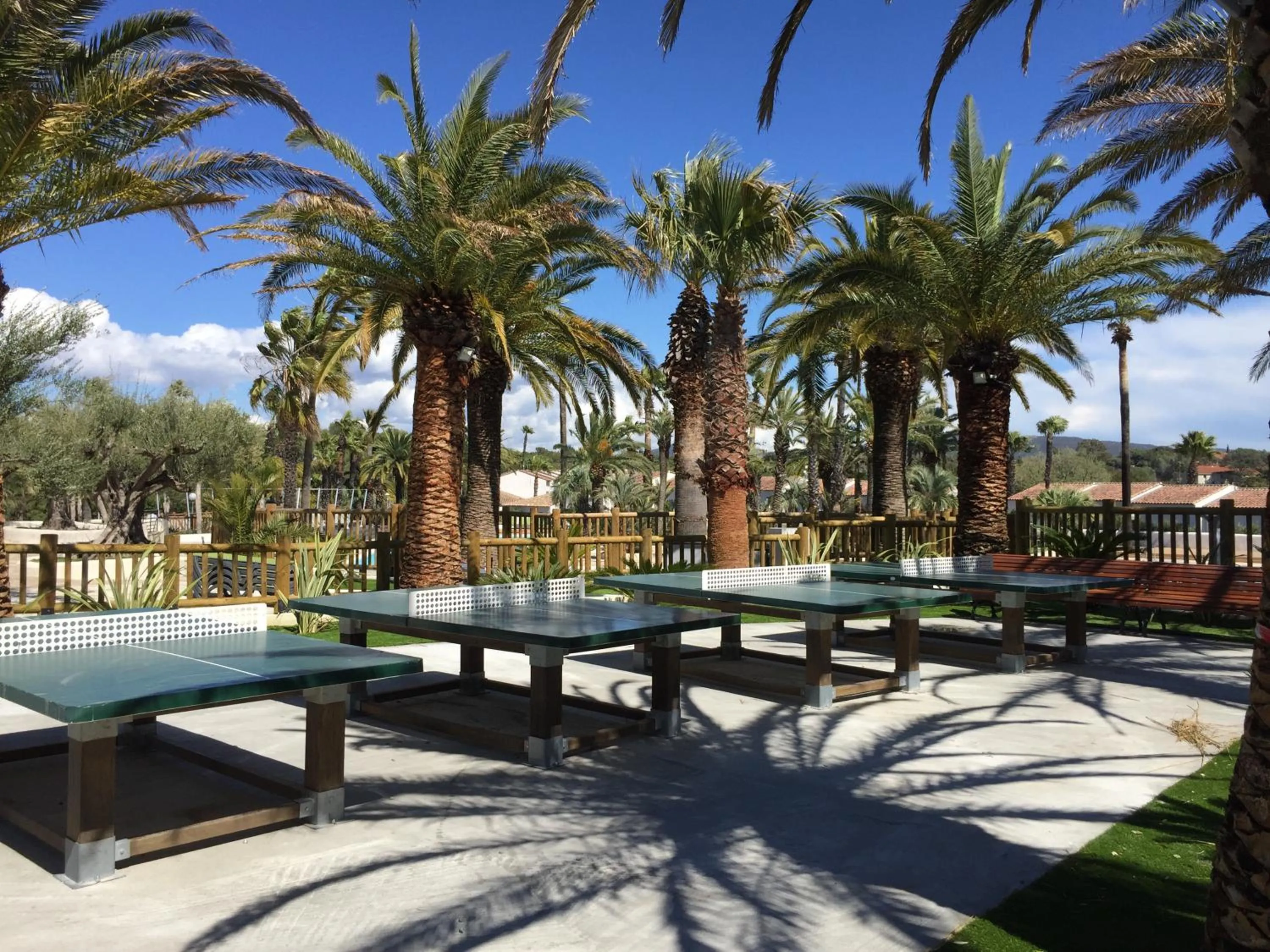 Table tennis in Residence La Palmeraie