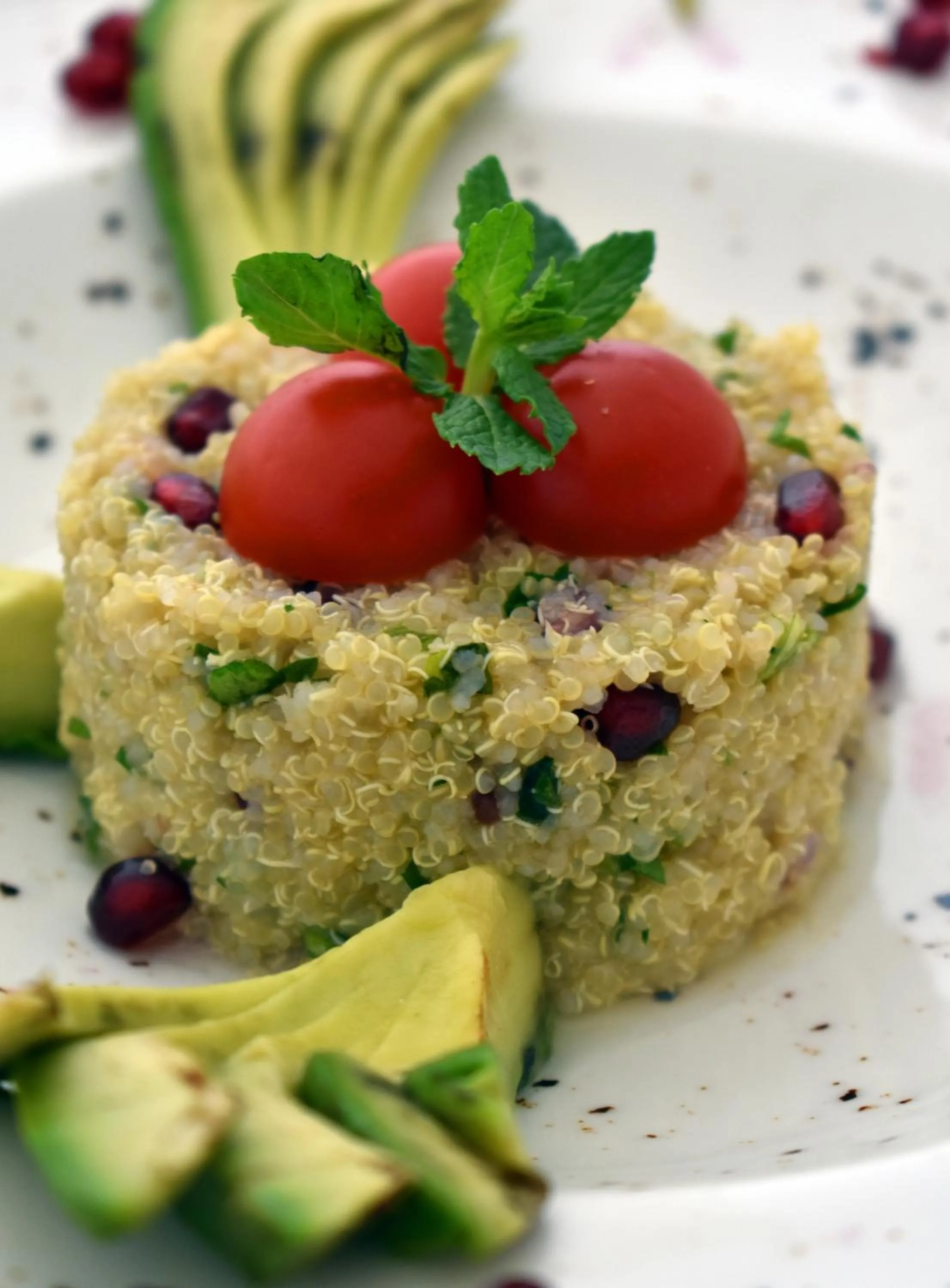 Food close-up in Hotel Orehite-G