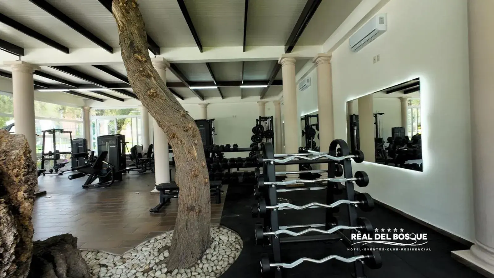 Fitness centre/facilities in Hotel Real del Bosque Golf and Spa Fitness centre/facilities in Hotel Real del Bosque Golf and Spa