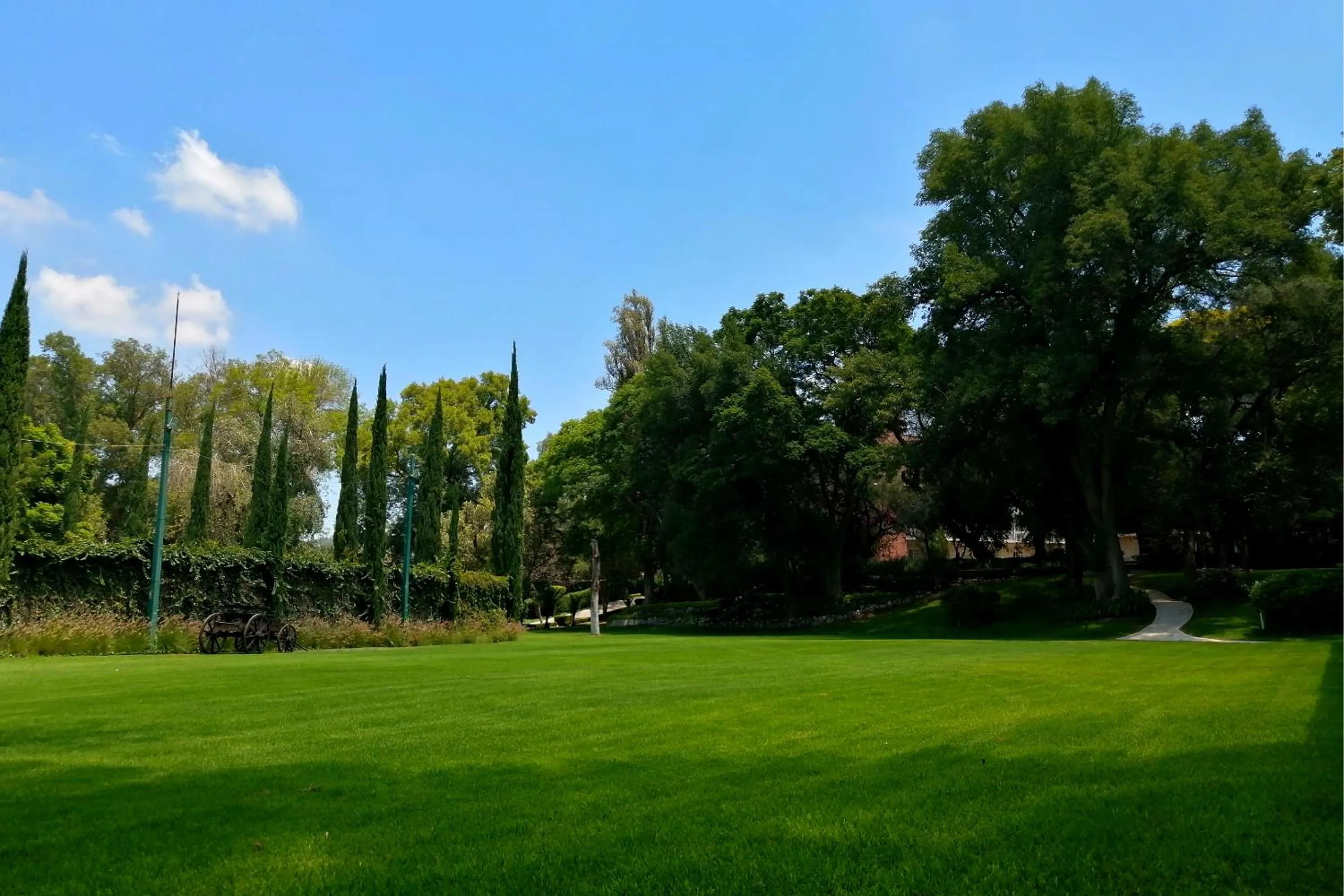 Garden in Hotel Real del Bosque Golf and Spa