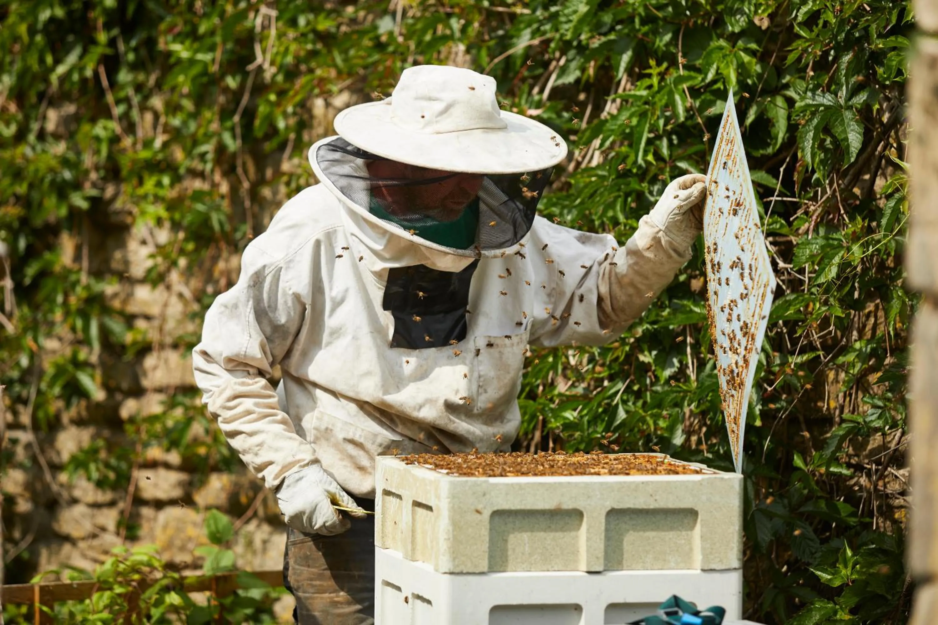 Garden in The Methuen Arms