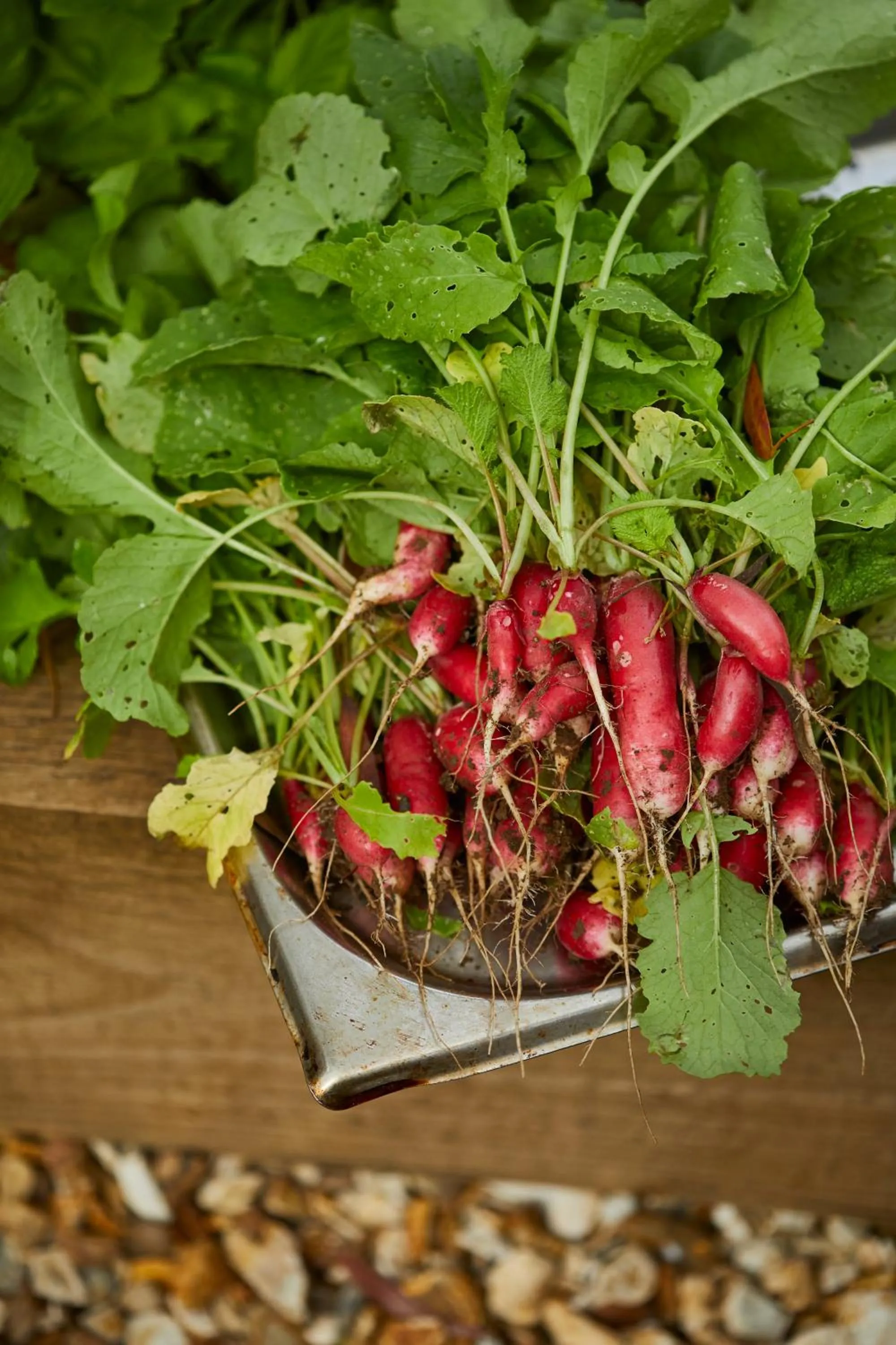 Garden in The Methuen Arms