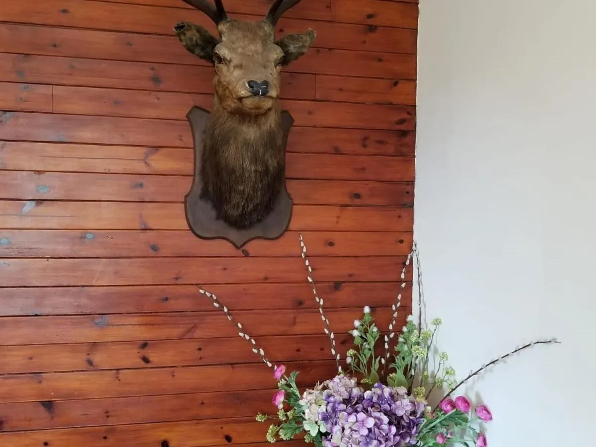 Dining area in Glenan Lodge Self Catering
