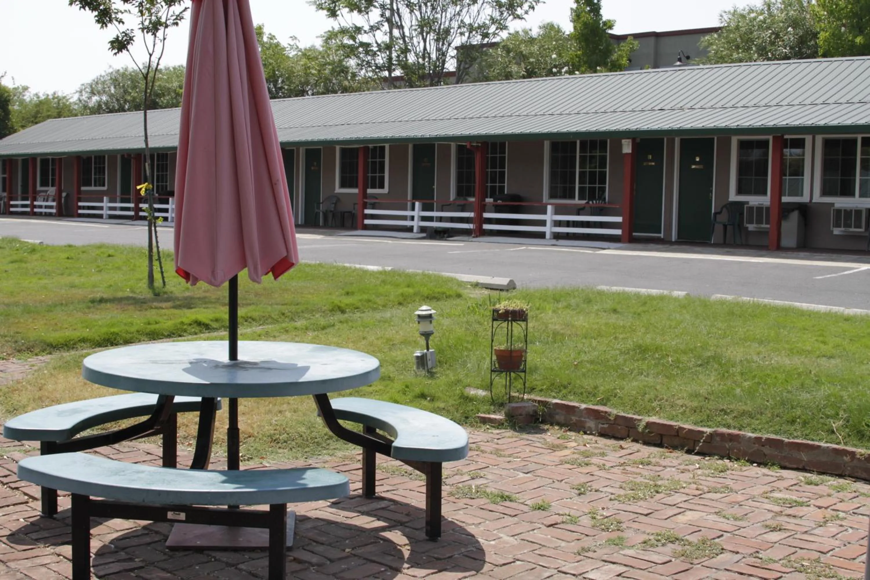 Garden view in Jumping Frog Motel